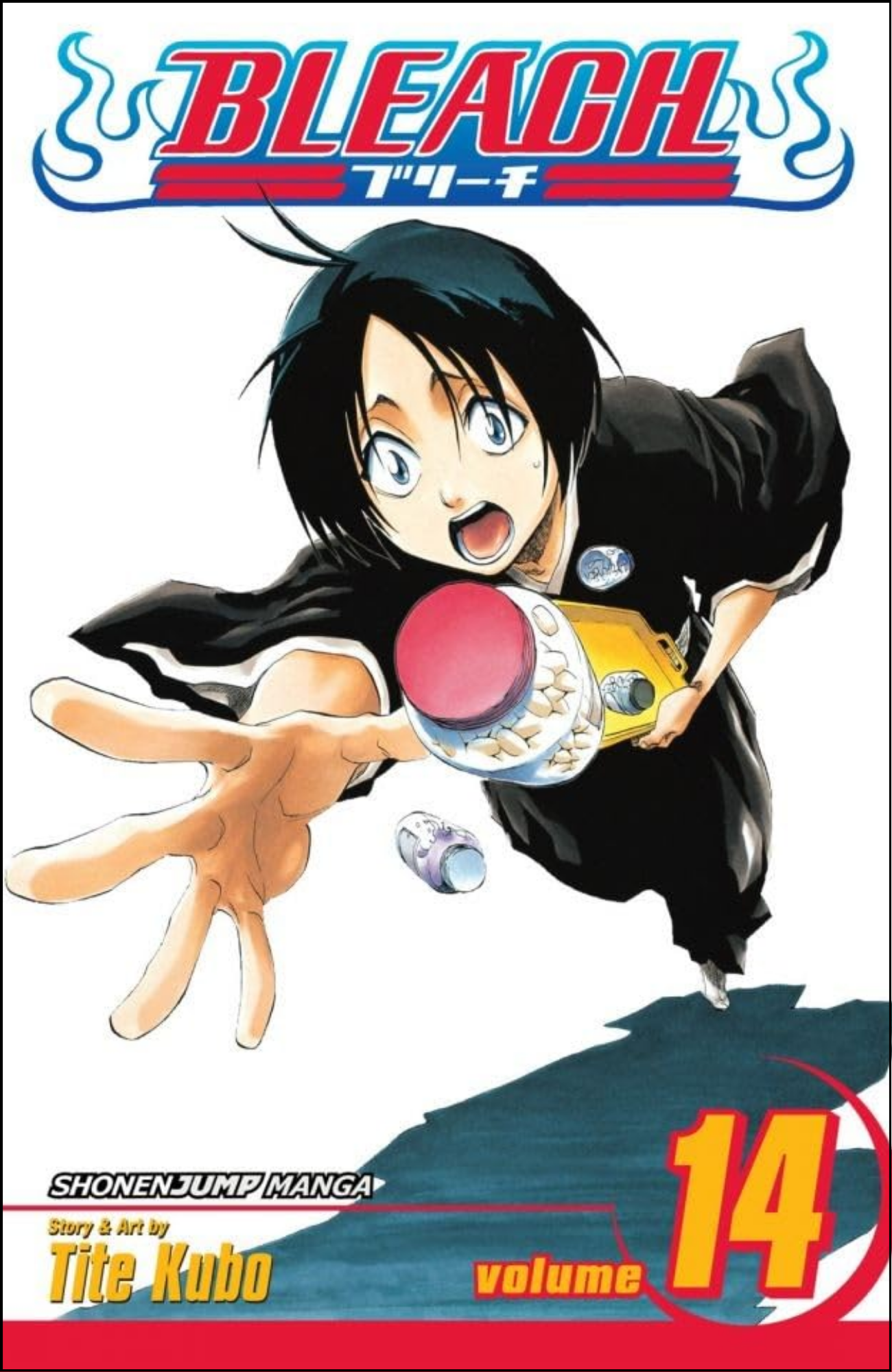 Bleach, Vol. 14 by Tite Kubo (Author) | Full Page Print Editon