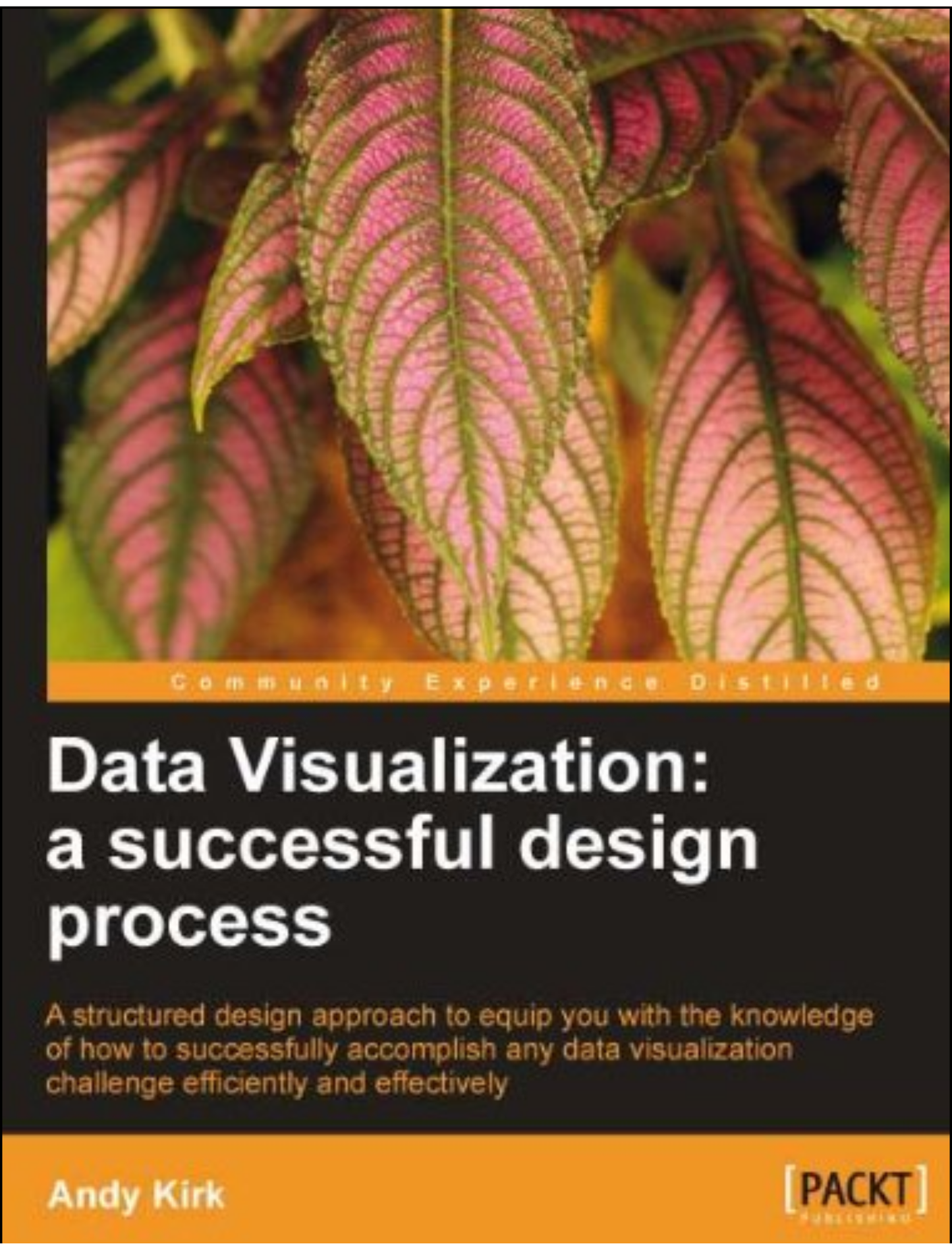 Data Visualization by Andy Kirk (Author)