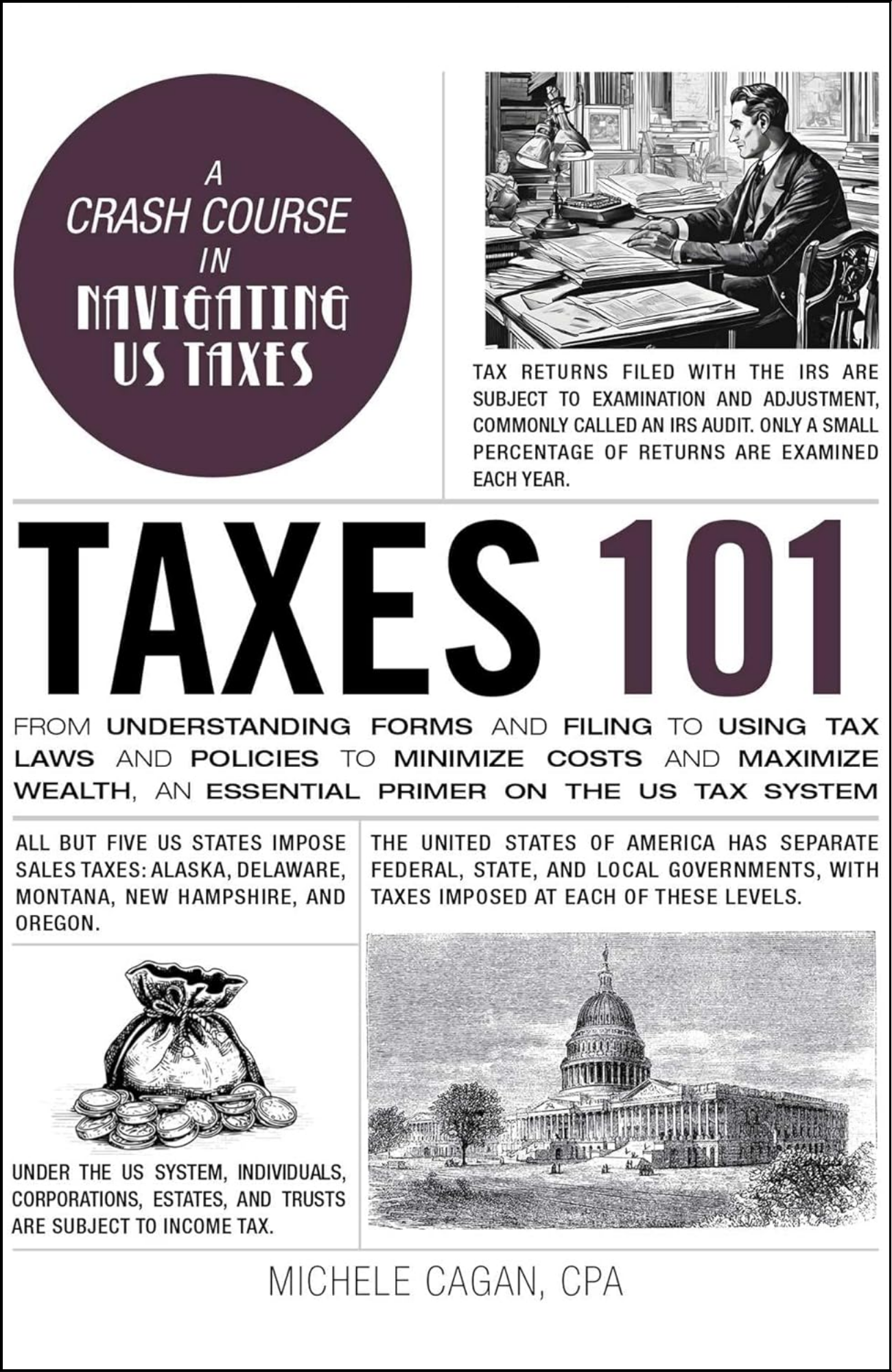 Taxes 101 by Paul Kleinman (Author)