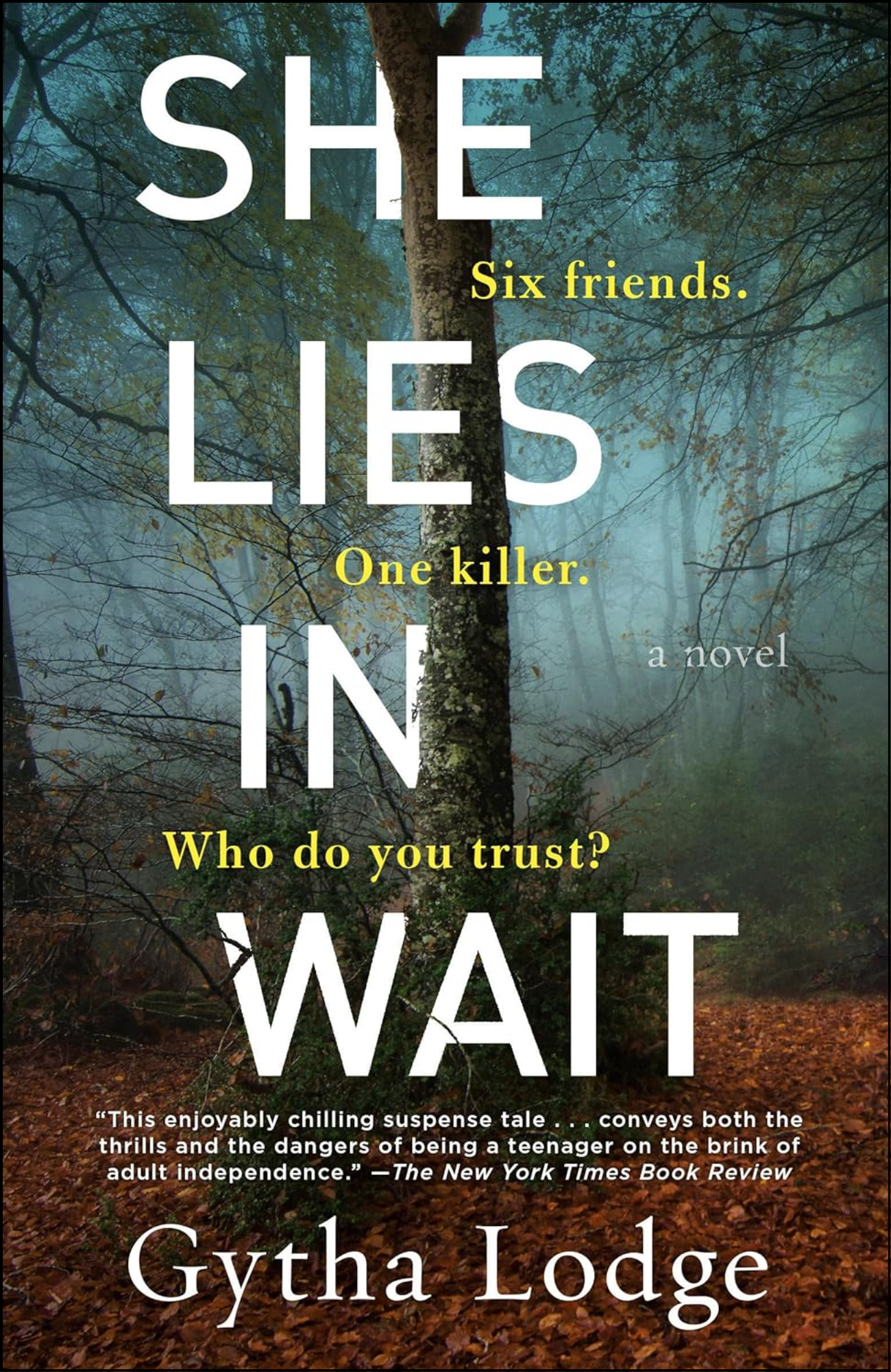 She Lies in Wait by Gytha Lodge (Author)