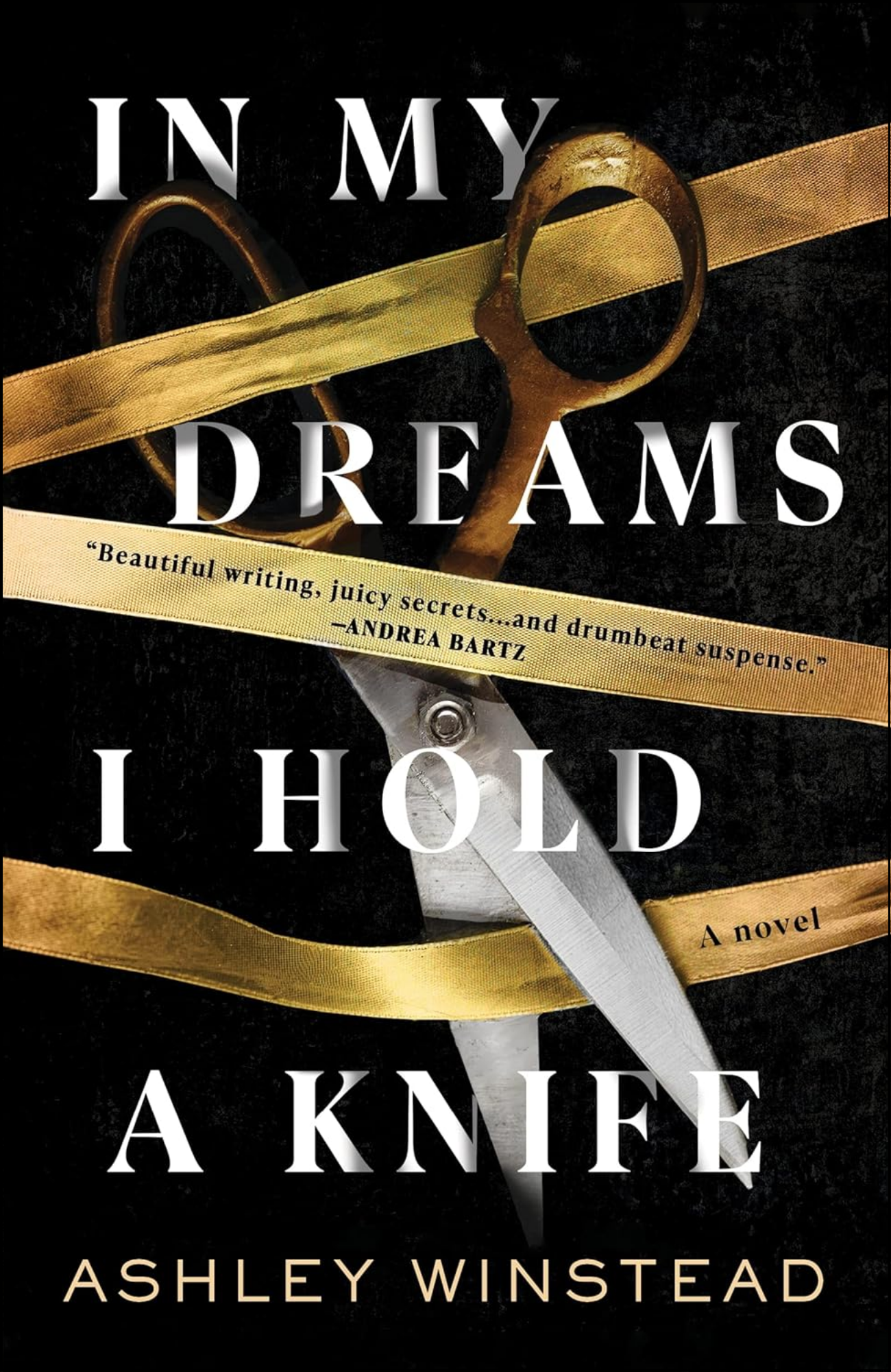 In My Dreams I Hold a Knife by Ashley Winstead (Author)