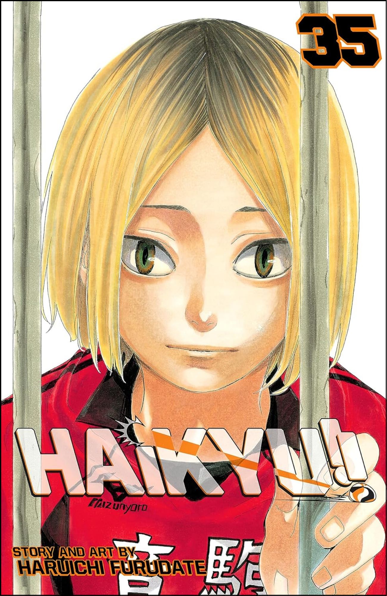 Haikyu!!, Vol. 35 by Haruichi Furudate (Author) | Full Page Print Editon