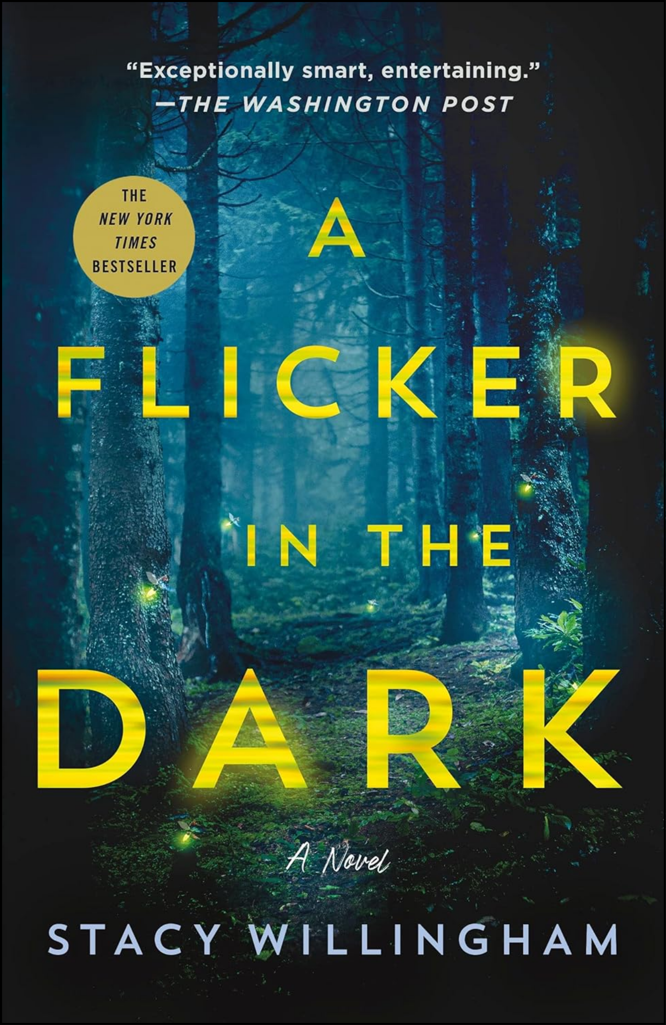 Flicker in the Dark by Stacy Willingham (Author)