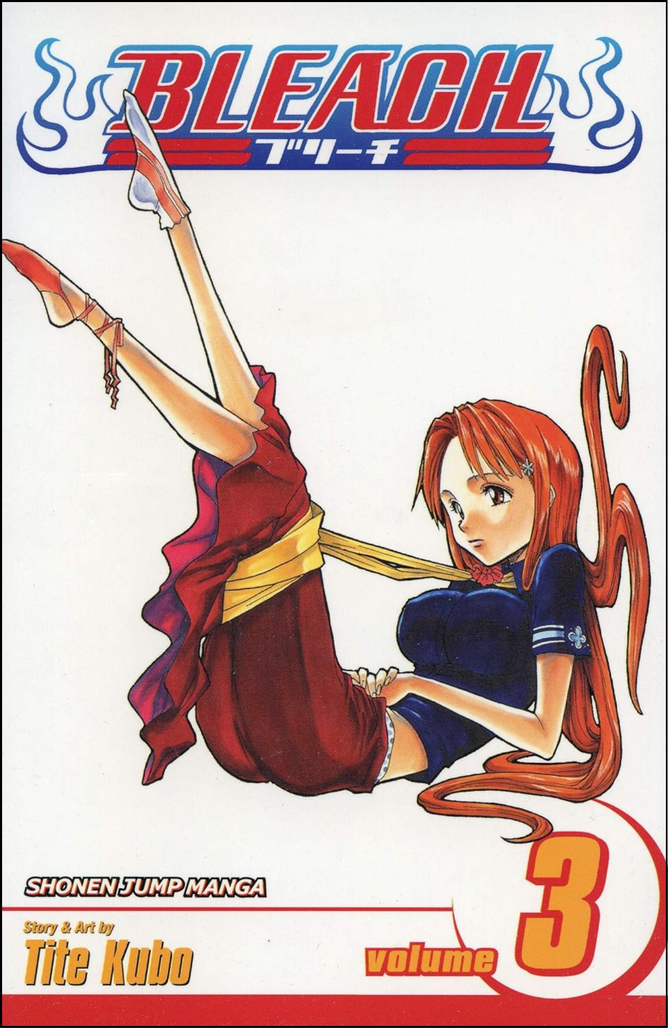 Bleach, Vol. 3 by Tite Kubo (Author) | Full Page Print Editon