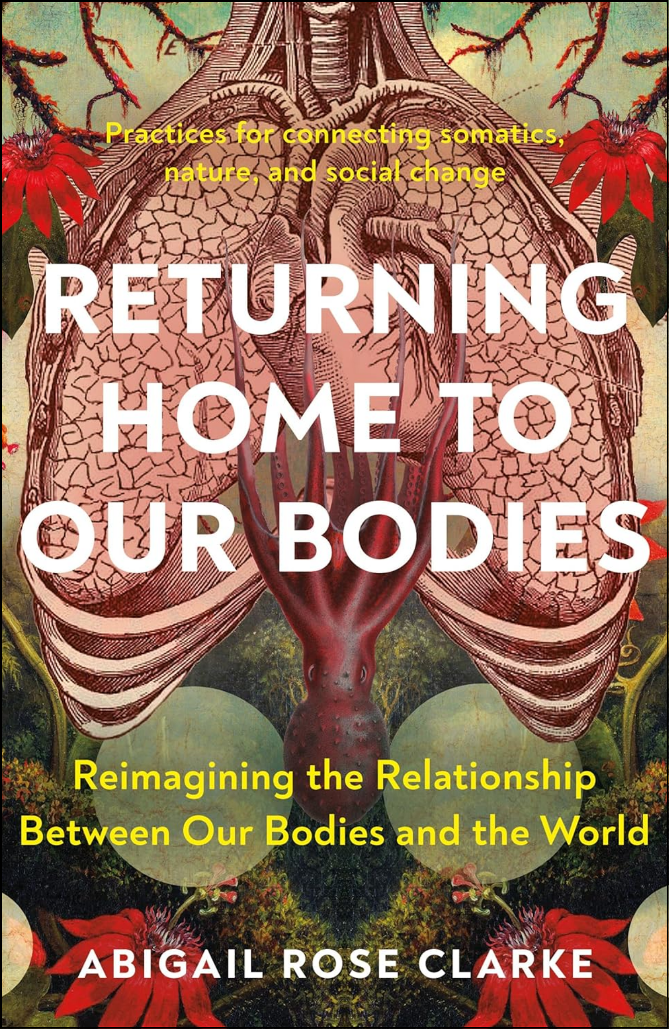 Returning Home to Our Bodies by Abigail Rose Clarke (Author)