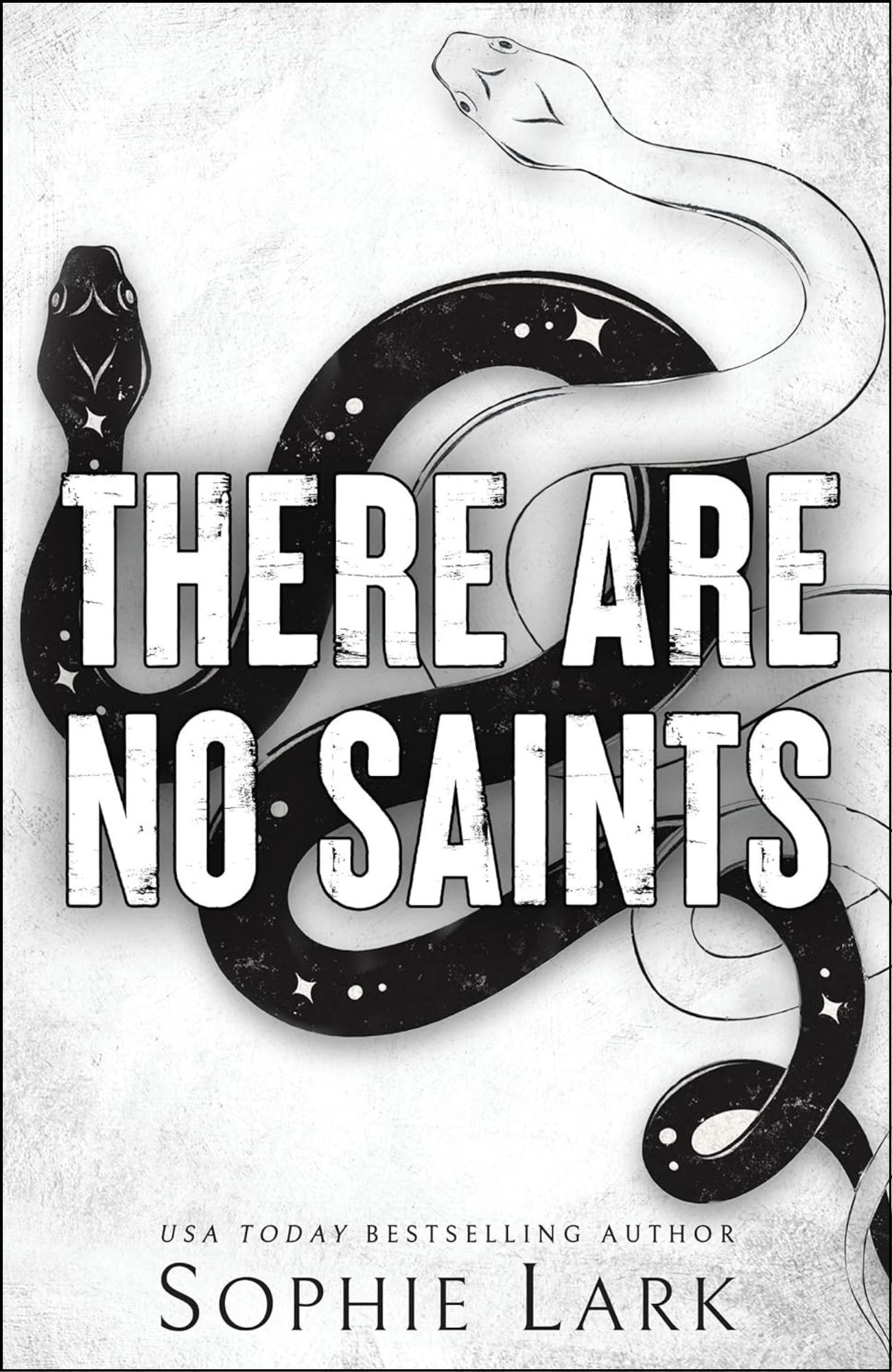 There Are No Saints by Sophie Lark (Author)