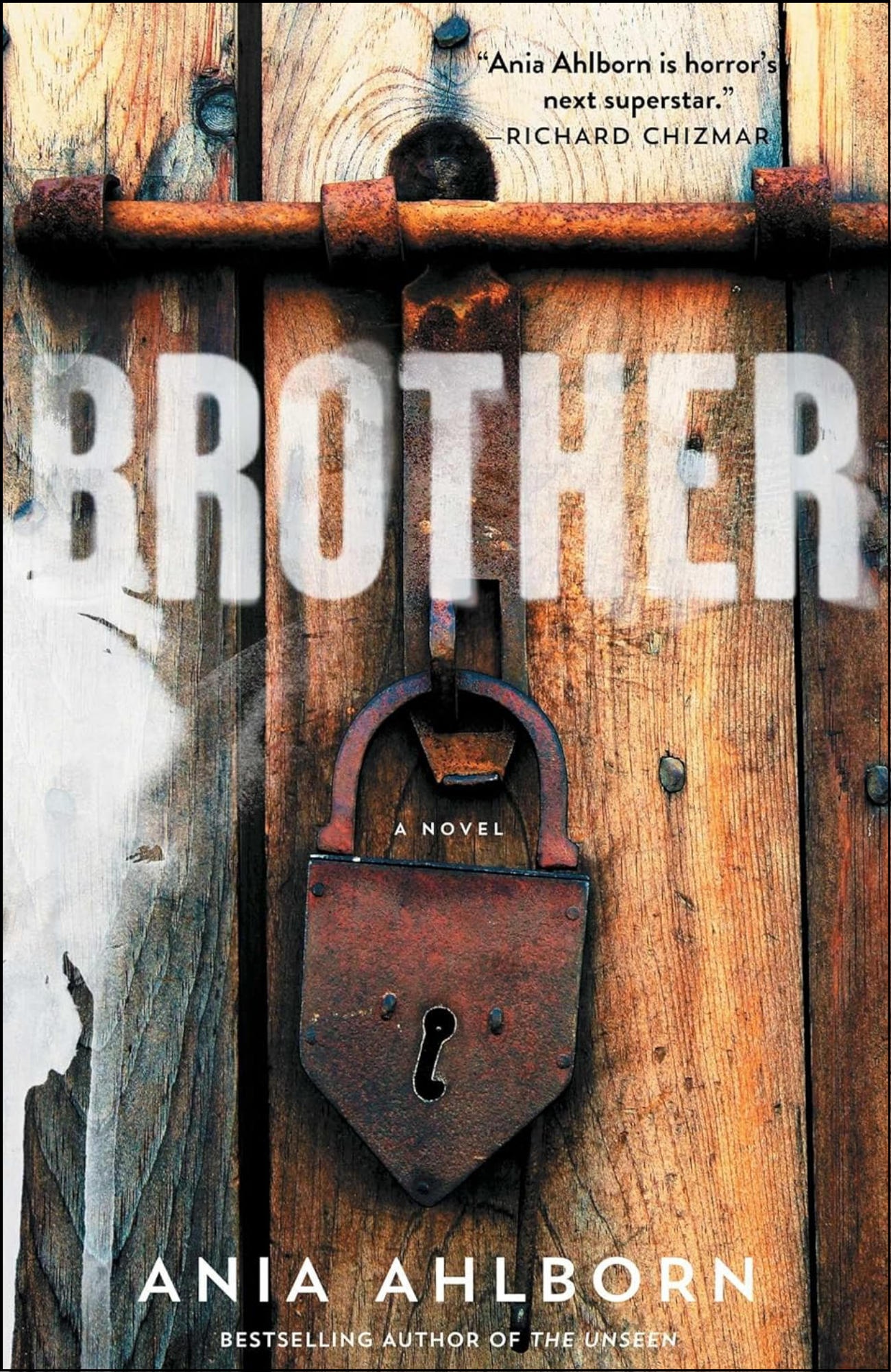 Brother by Ania Ahlborn (Author)