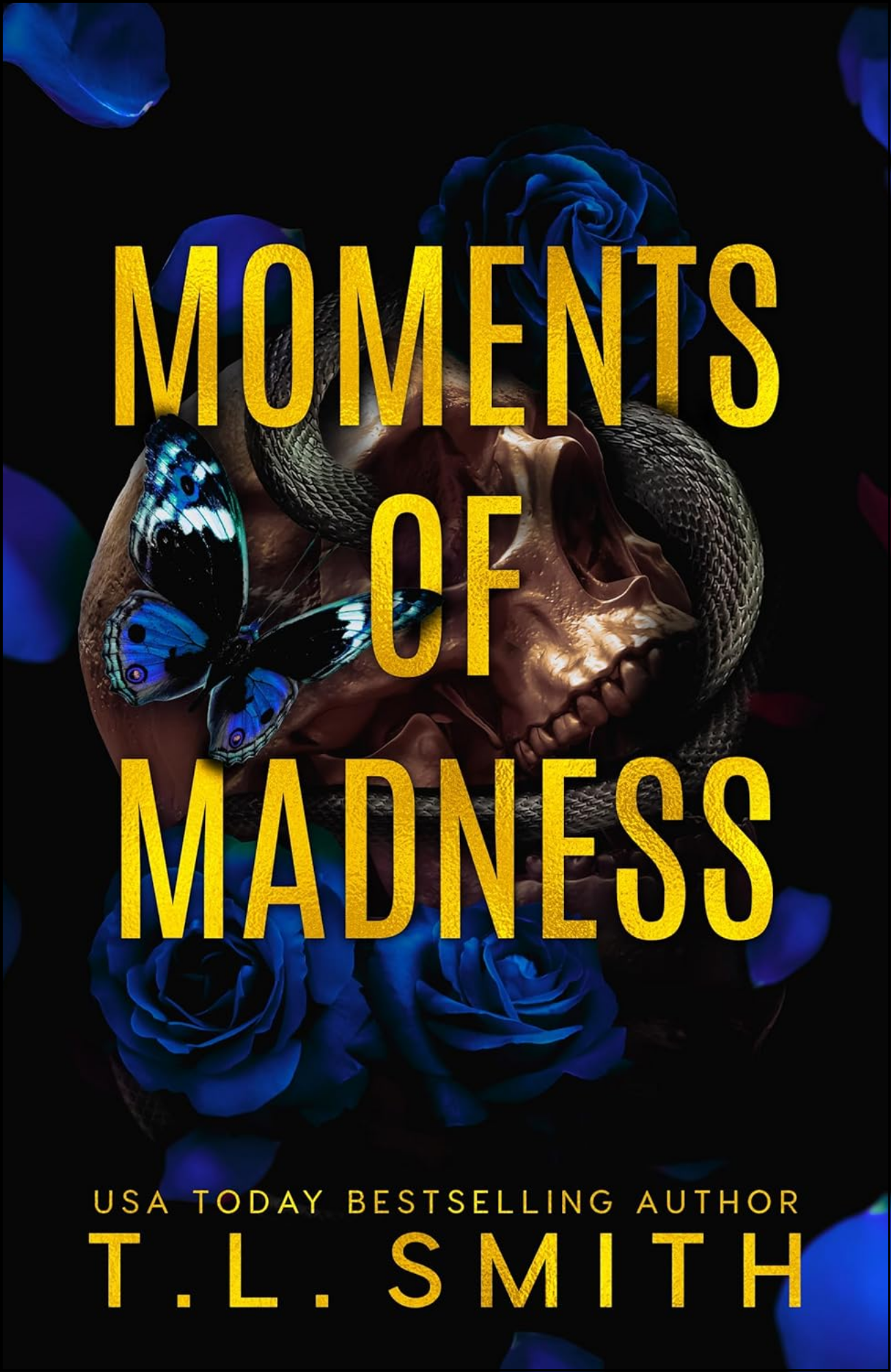 Moments of Madness by T L Smith (Author)