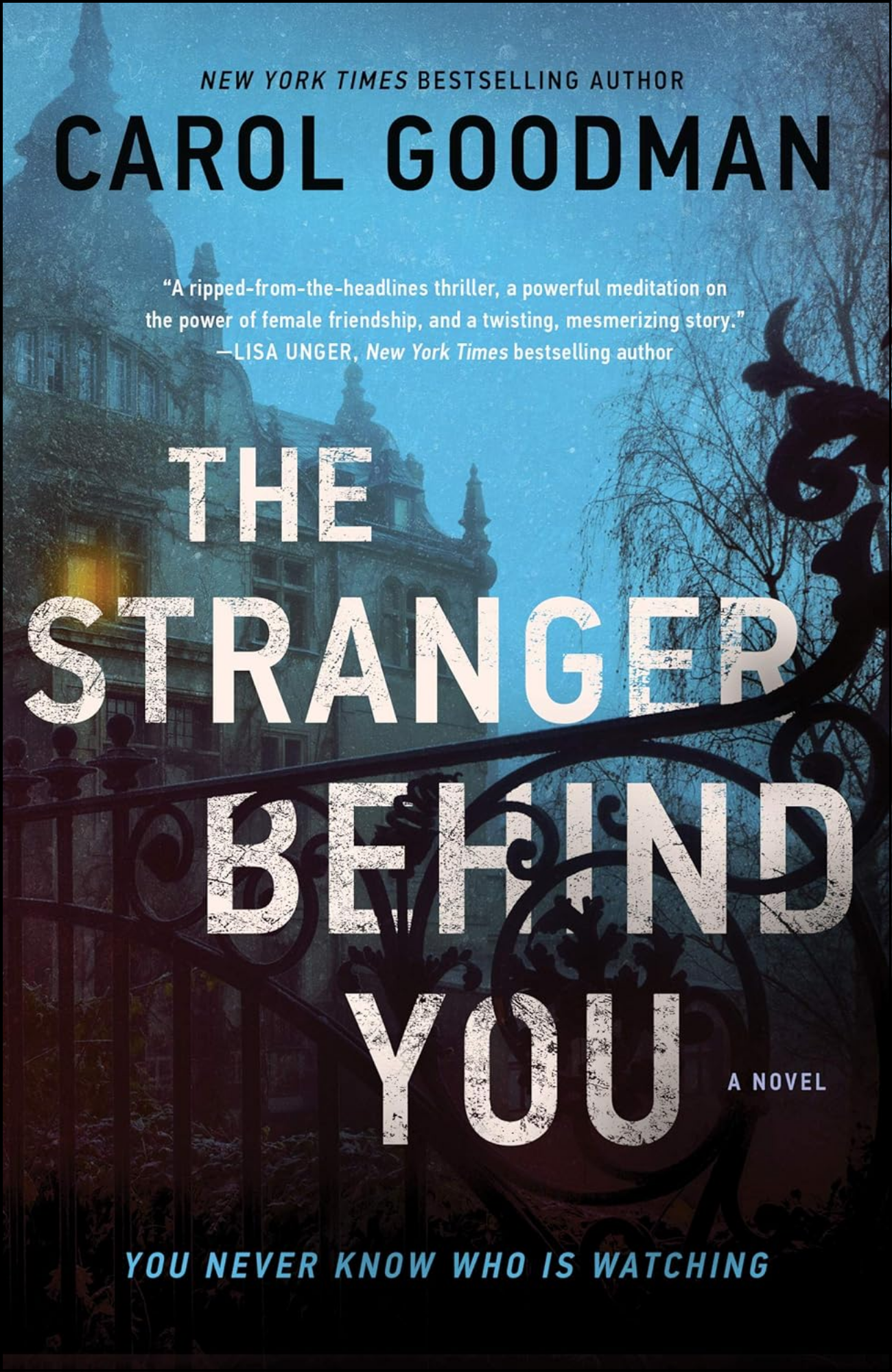 The Stranger Behind You by Carol Goodman (Author)