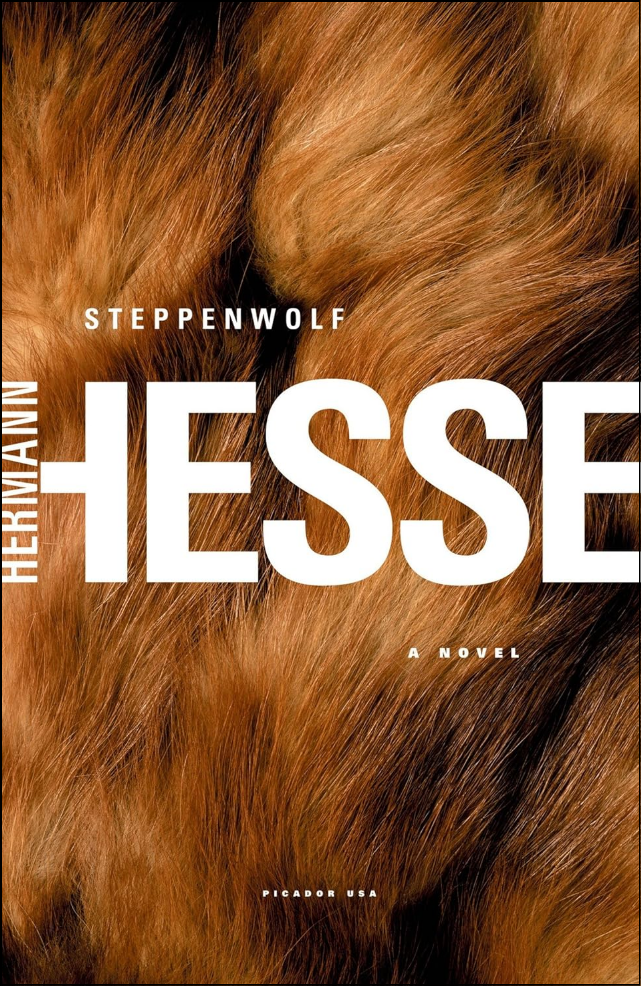 Steppenwolf: A Novel by Herman Hesse (Author)