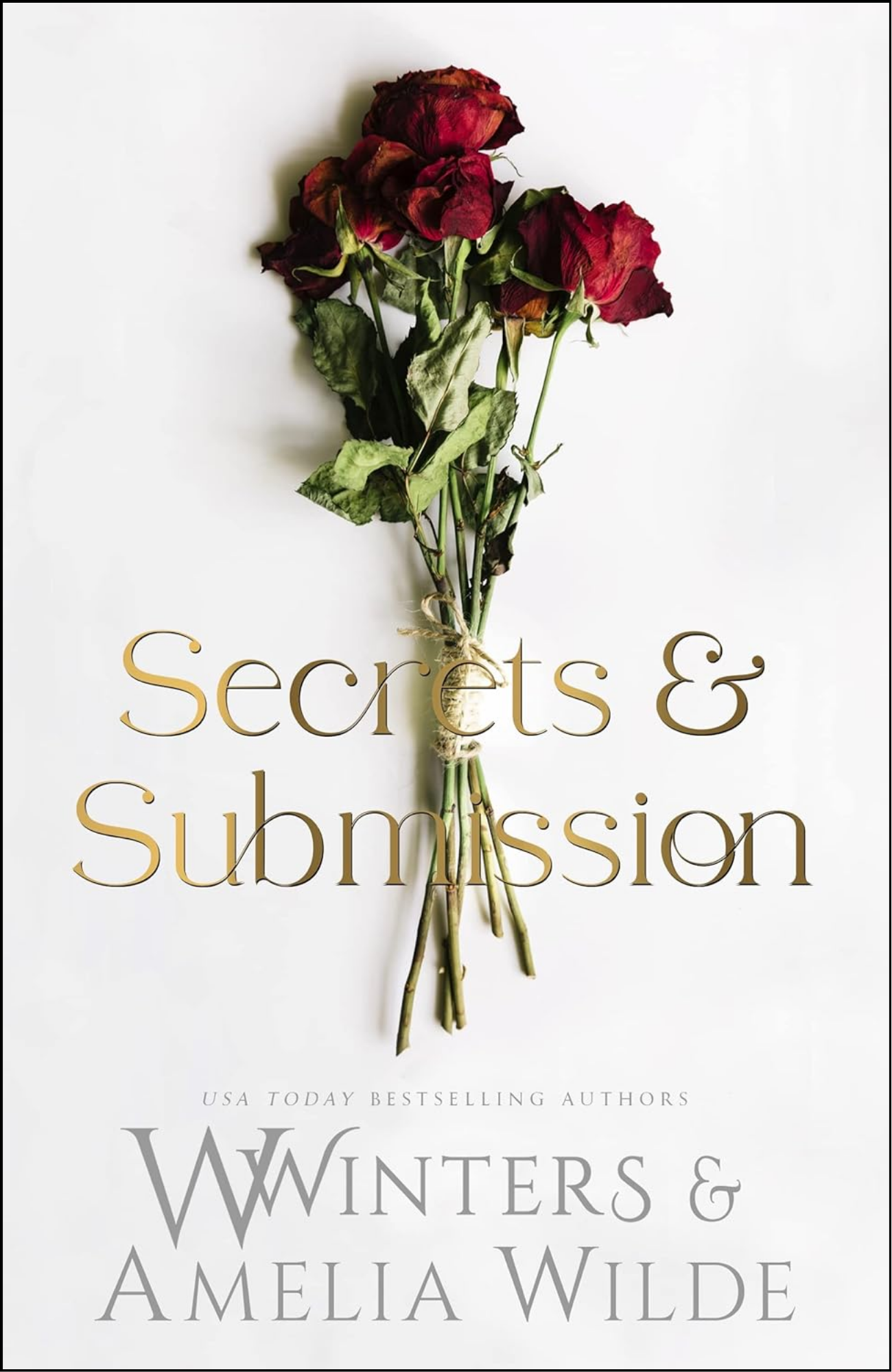 Secrets & Submission by W. Winters (Author)