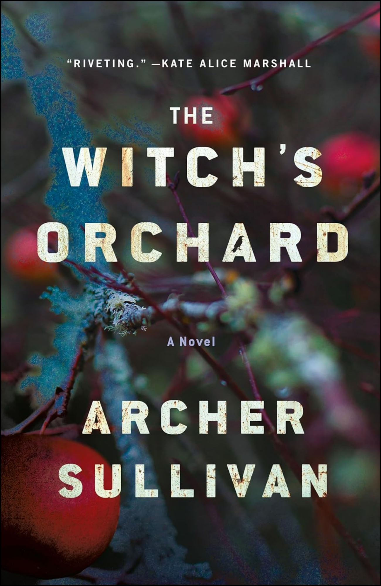 The Witch's Orchard by Archer Sullivan (Author)