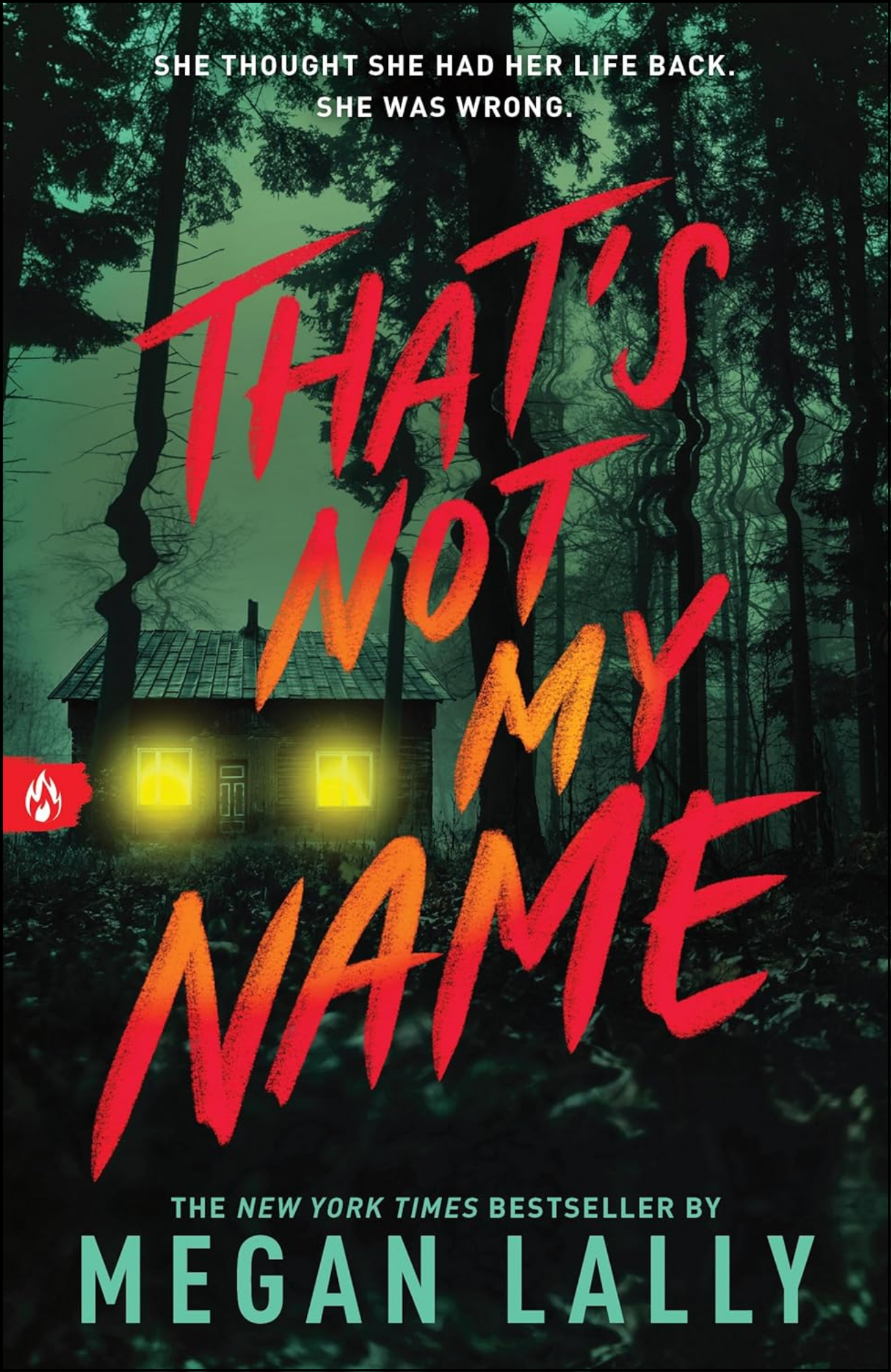 That's Not My Name by Megan Lally (Author)