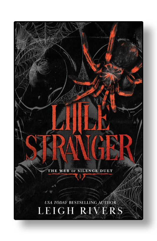Front cover of Little Stranger by Leigh Rivers