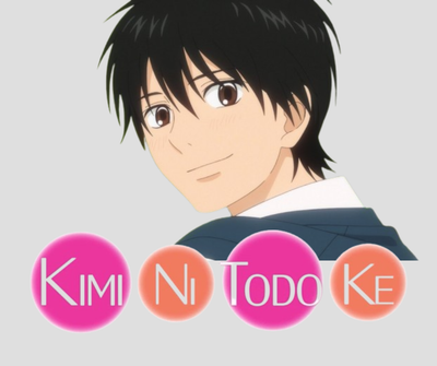 Kimi ni Todoke Manga Collection