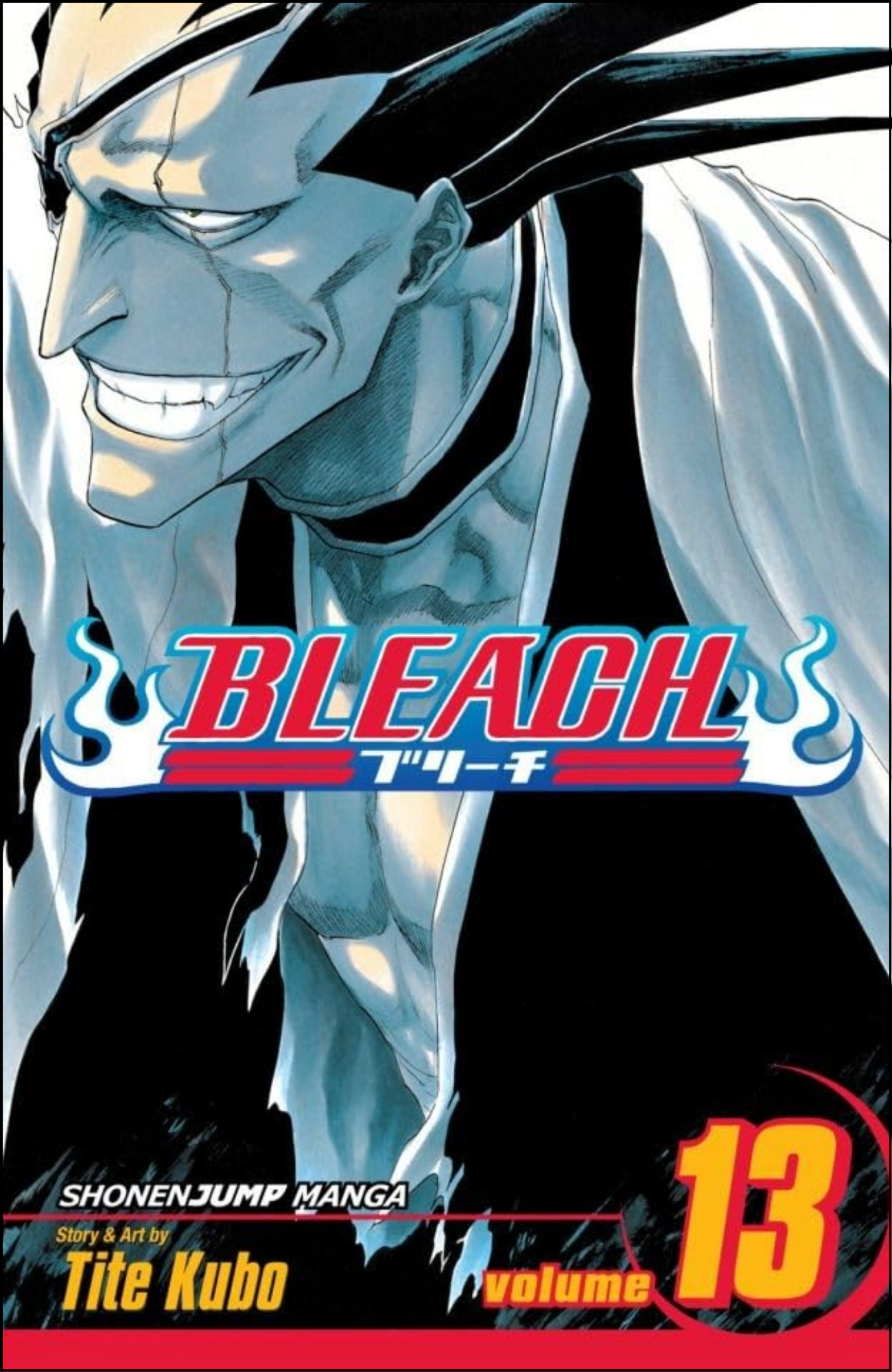 Bleach, Vol. 13 by Tite Kubo (Author) | Full Page Print Editon