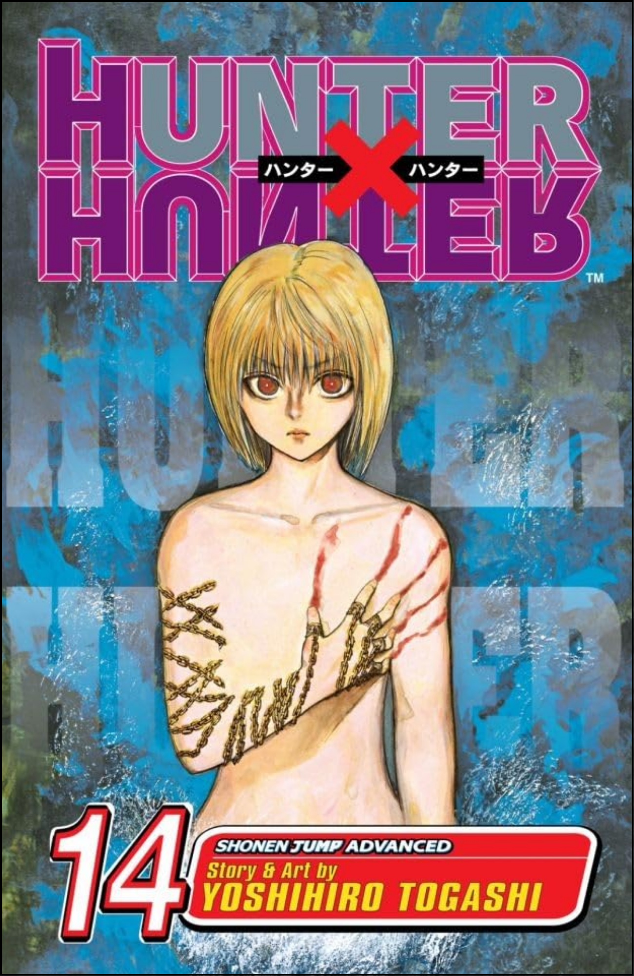 Hunter x Hunter, Vol. 14 by Yoshihiro Togashi (Author) | Full Page Print Editon