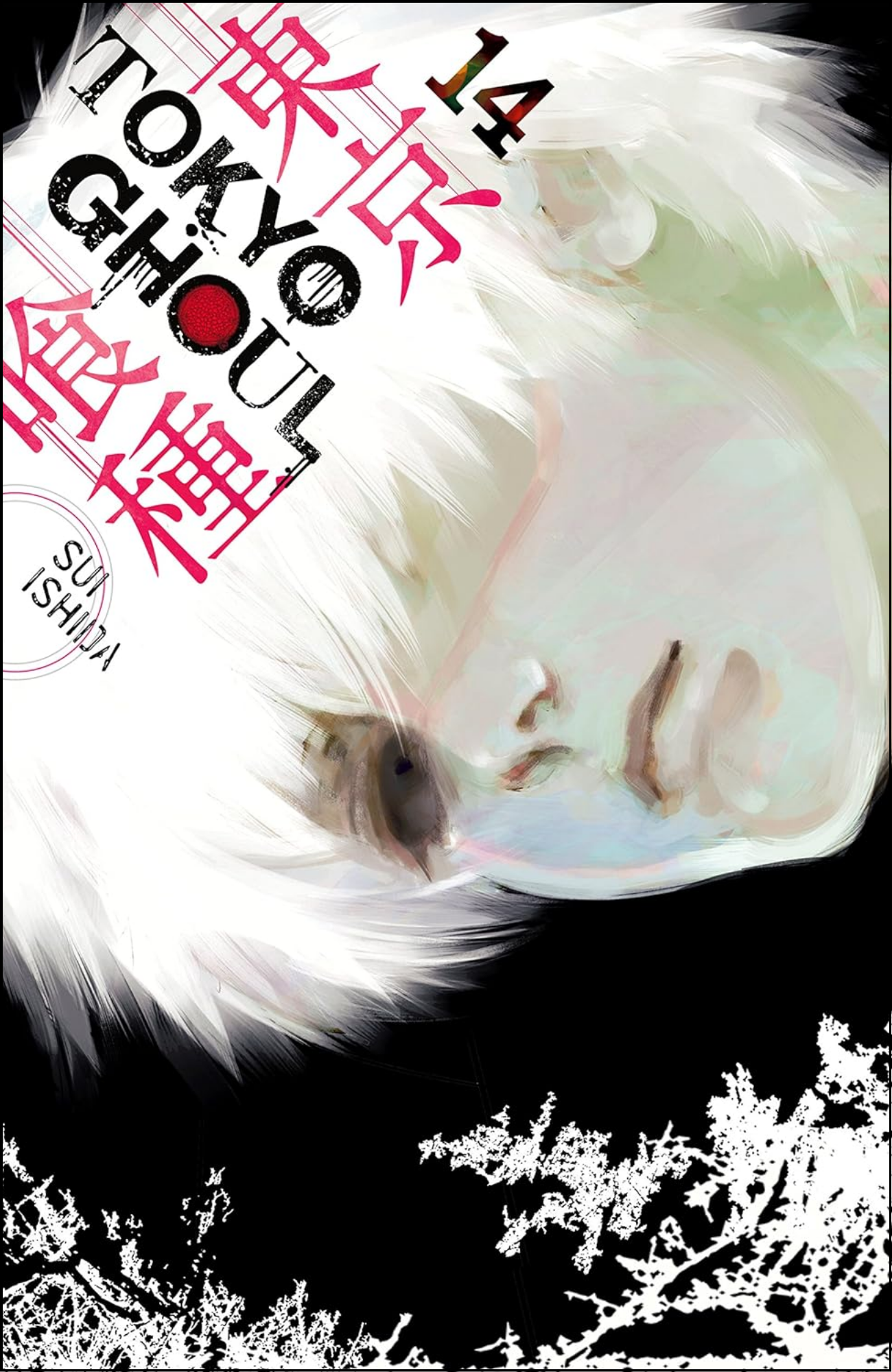 Tokyo Ghoul Vol. 14 by Sui Ishida (Author) | Full Page Print Editon