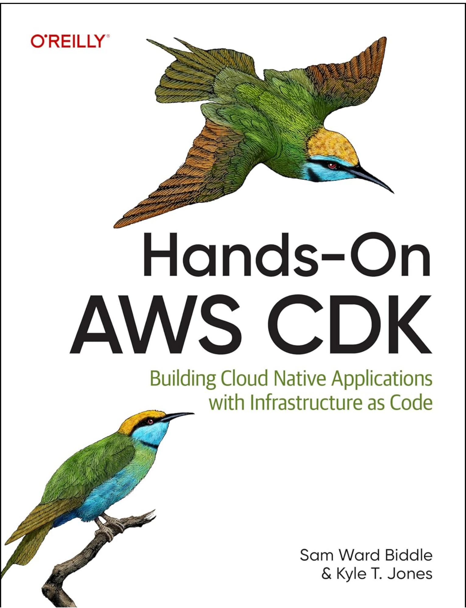 Hands-On AWS CDK by Sam Ward Biddle (Author)