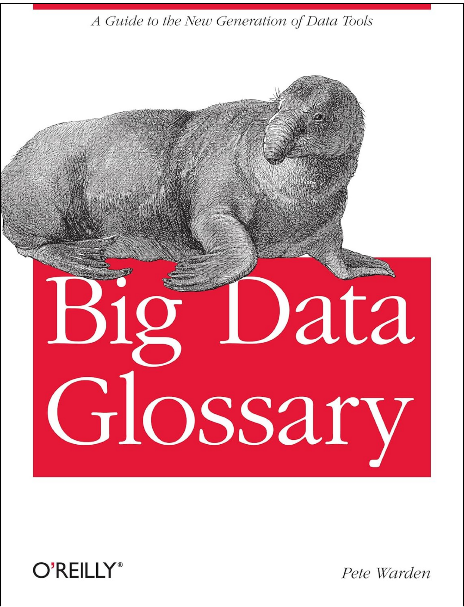 Big Data Glossary by Pete Warden (Author)
