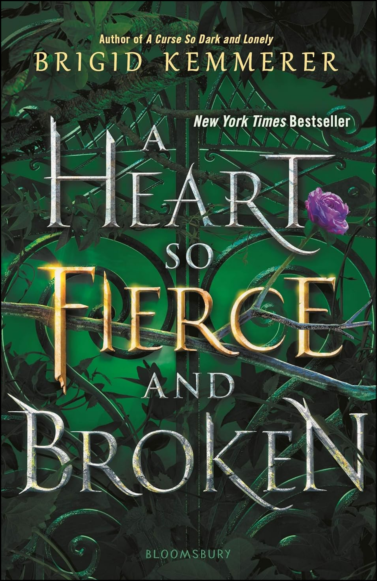 Heart So Fierce and Broken by Brigid Kemmerer (Author)