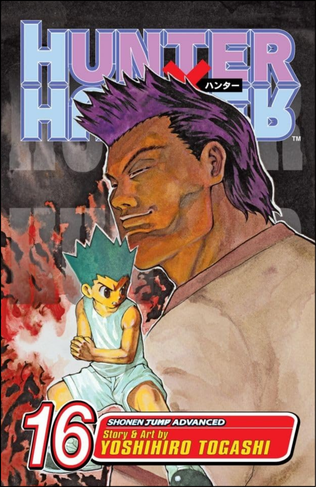 Hunter x Hunter, Vol. 16 by Yoshihiro Togashi (Author) | Full Page Print Editon