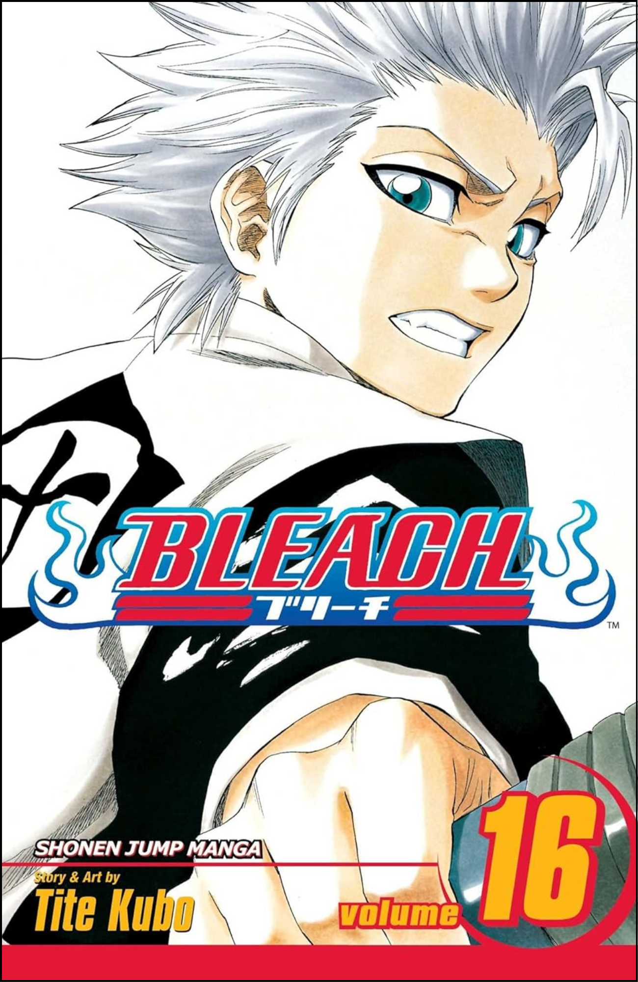 Bleach, Vol. 16 by Tite Kubo (Author) | Full Page Print Editon