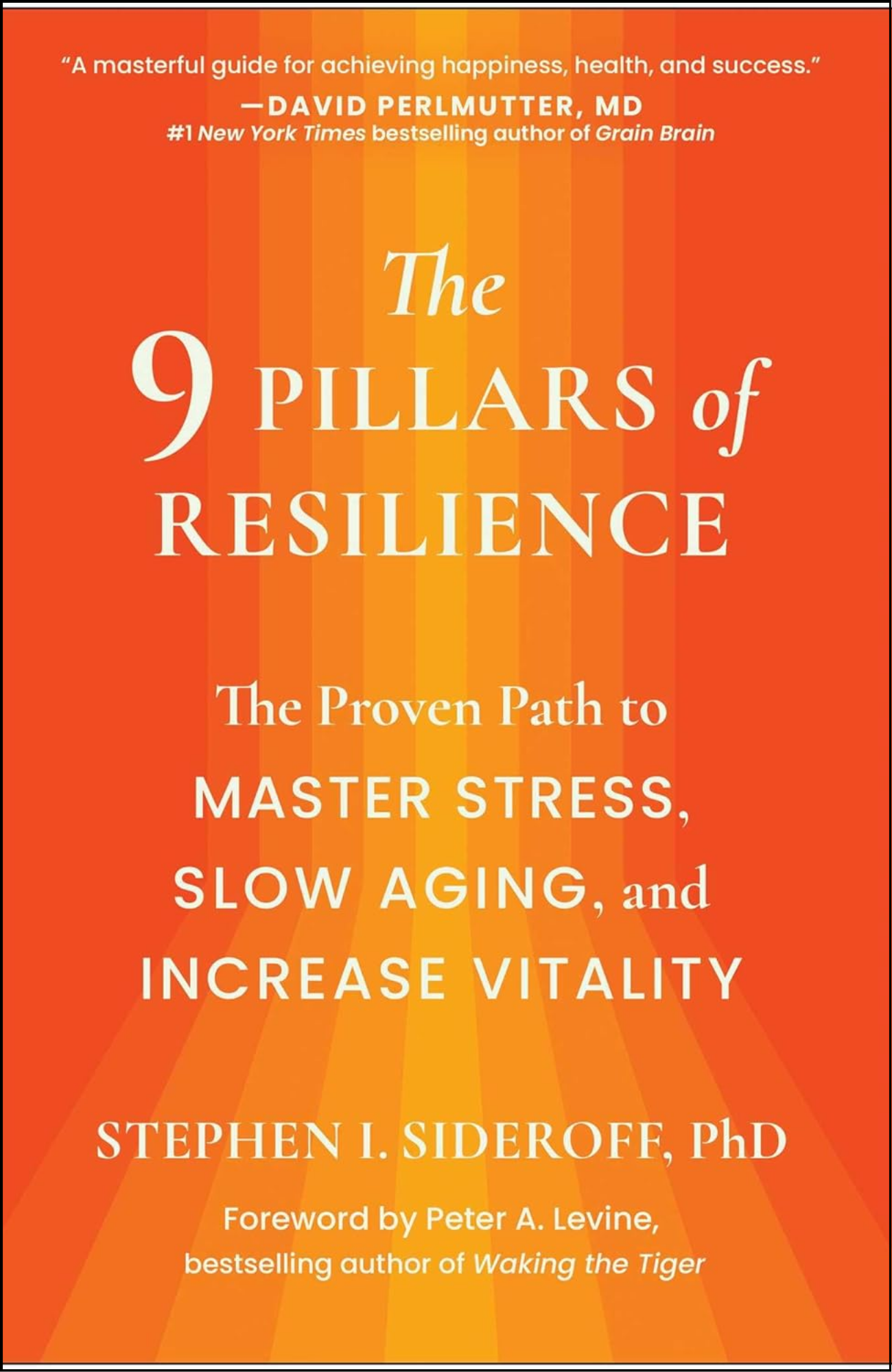 The 9 Pillars of Resilience by Stephen I. Sideroff (Author)