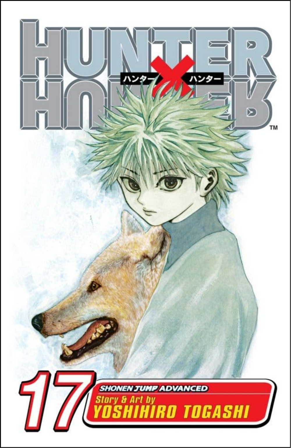 Hunter x Hunter, Vol. 17 by Yoshihiro Togashi (Author) | Full Page Print Editon