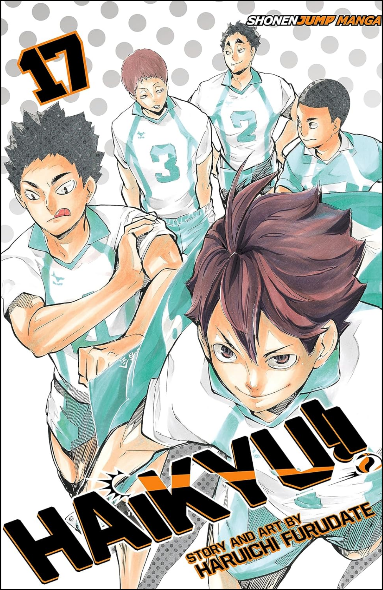 Haikyu!!, Vol. 17 by Haruichi Furudate (Author) | Full Page Print Editon
