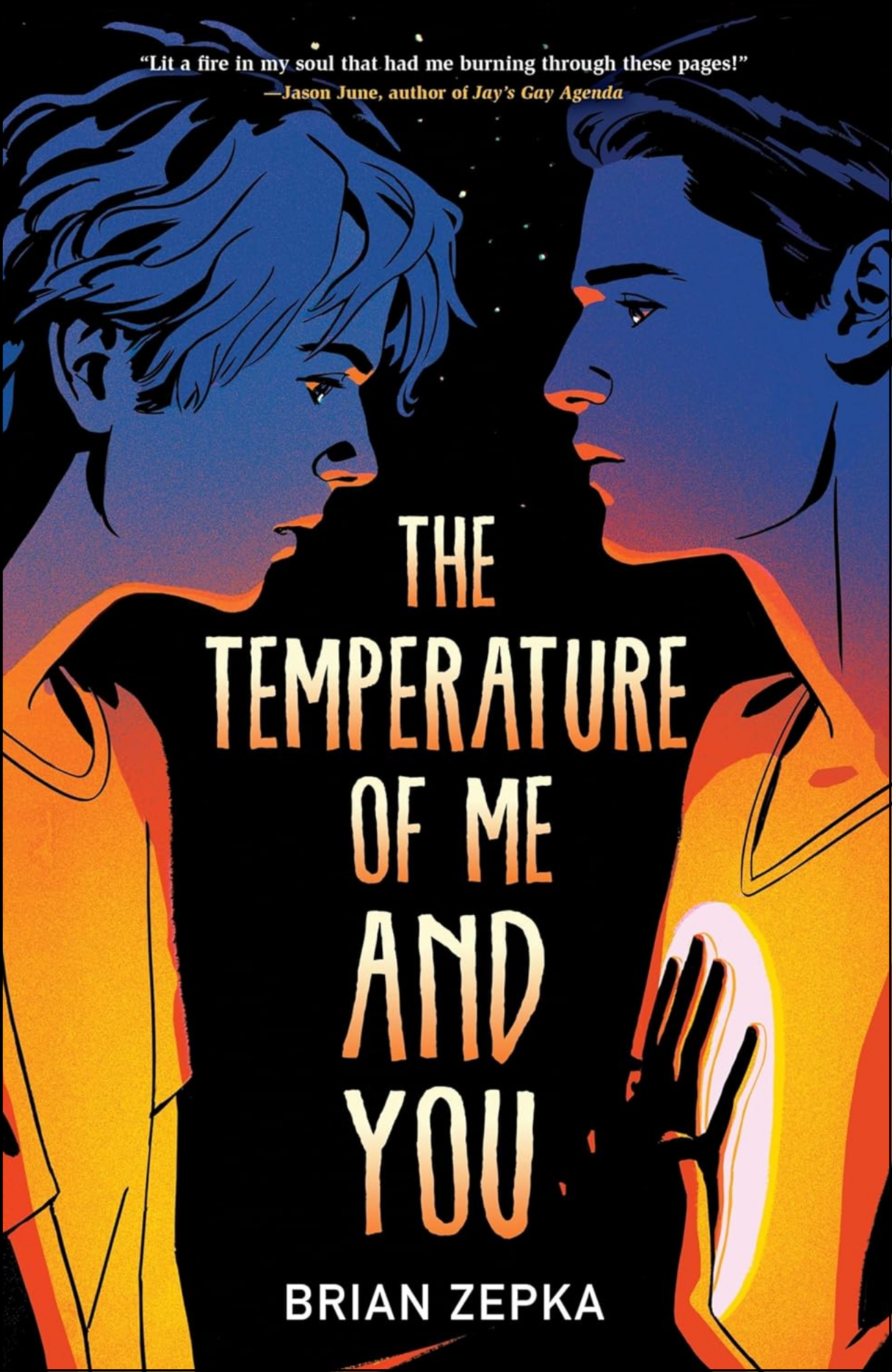 The Temperature of Me and You Book by Brian Zepka (Author)
