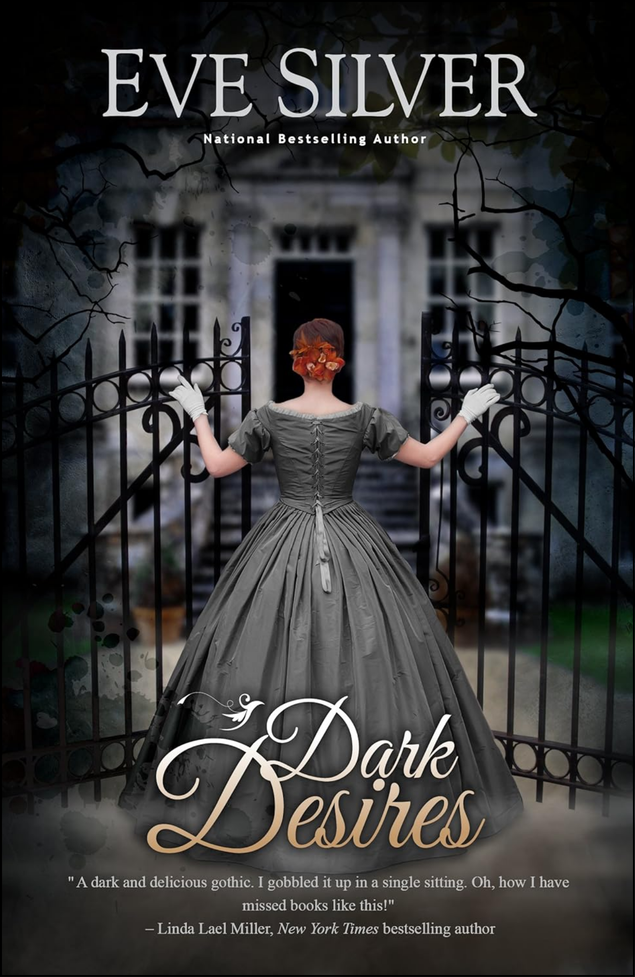 Dark Desires by Eve Silver (Author)