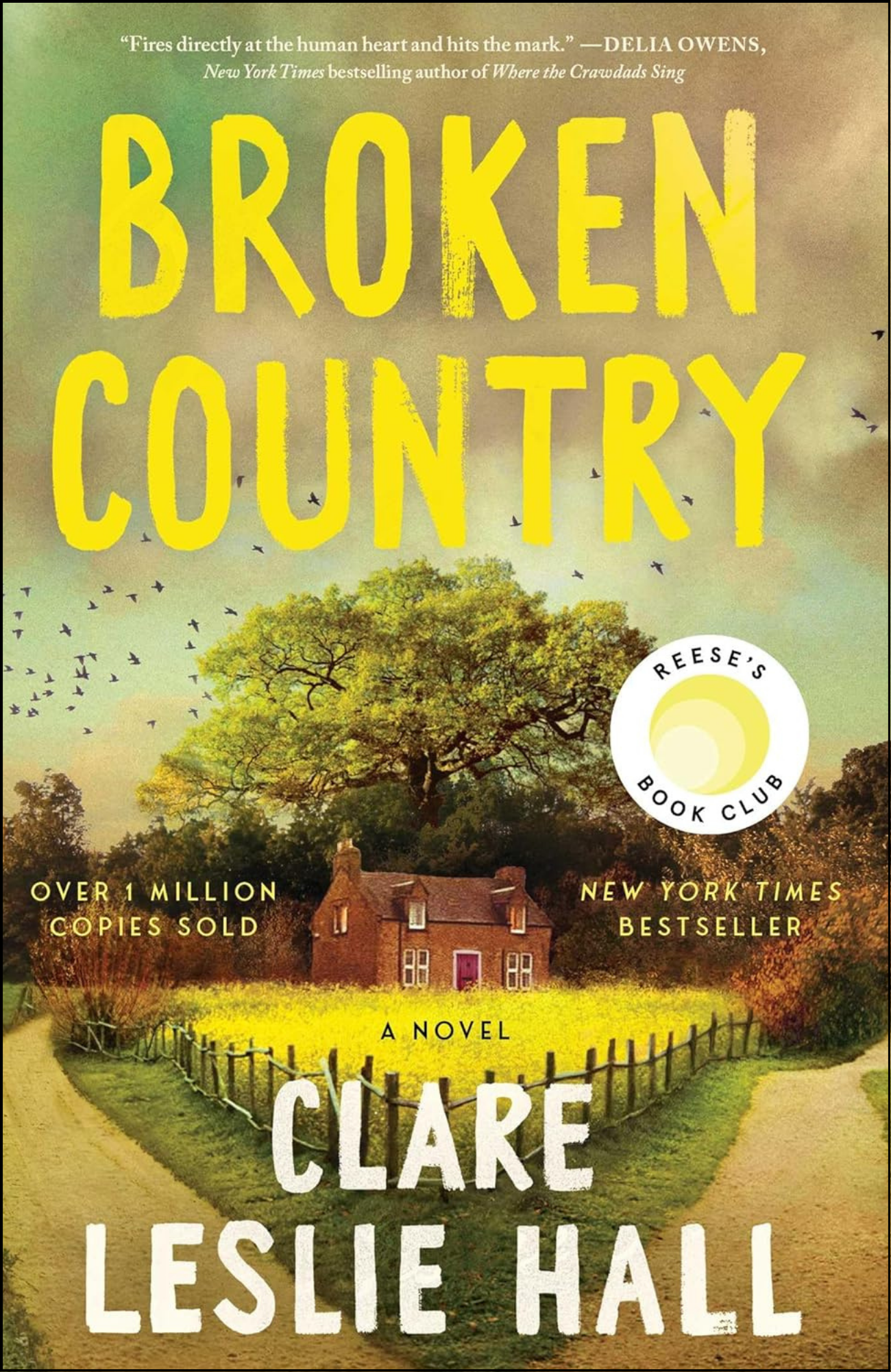 Broken Country by Clare Leslie Hall (Author)