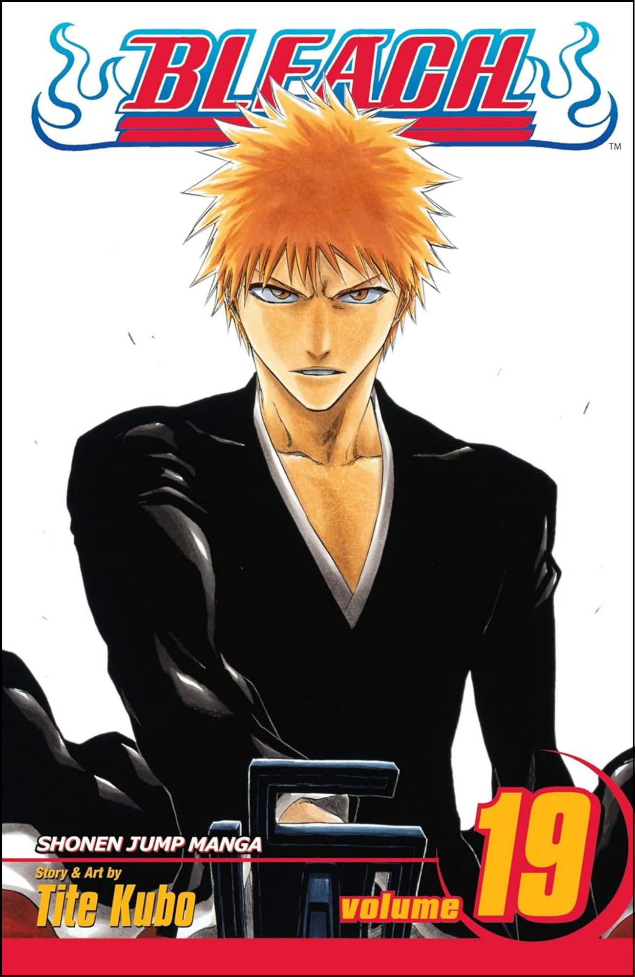 Bleach, Vol. 19 by Tite Kubo (Author) | Full Page Print Editon
