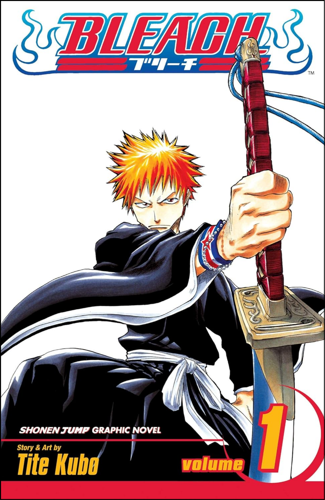Bleach, Vol. 1 by Tite Kubo (Author) | Full Page Print Editon