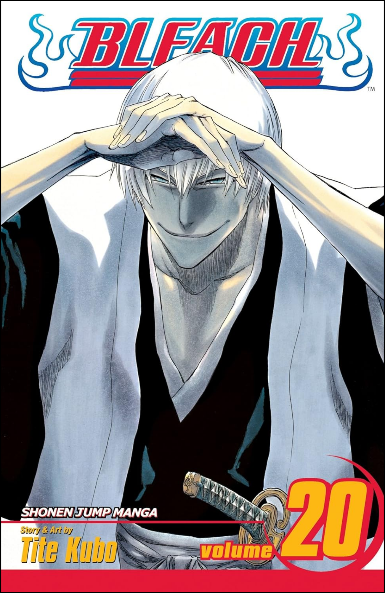 Bleach, Vol. 20 by Tite Kubo (Author) | Full Page Print Editon