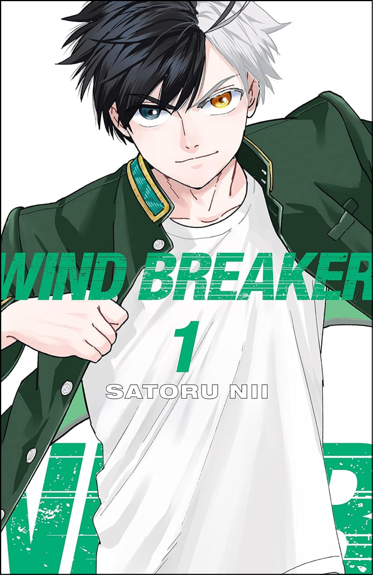 WIND BREAKER Vol. 1 by Satoru Nii (Author, Artist) | Full Page Print Editon