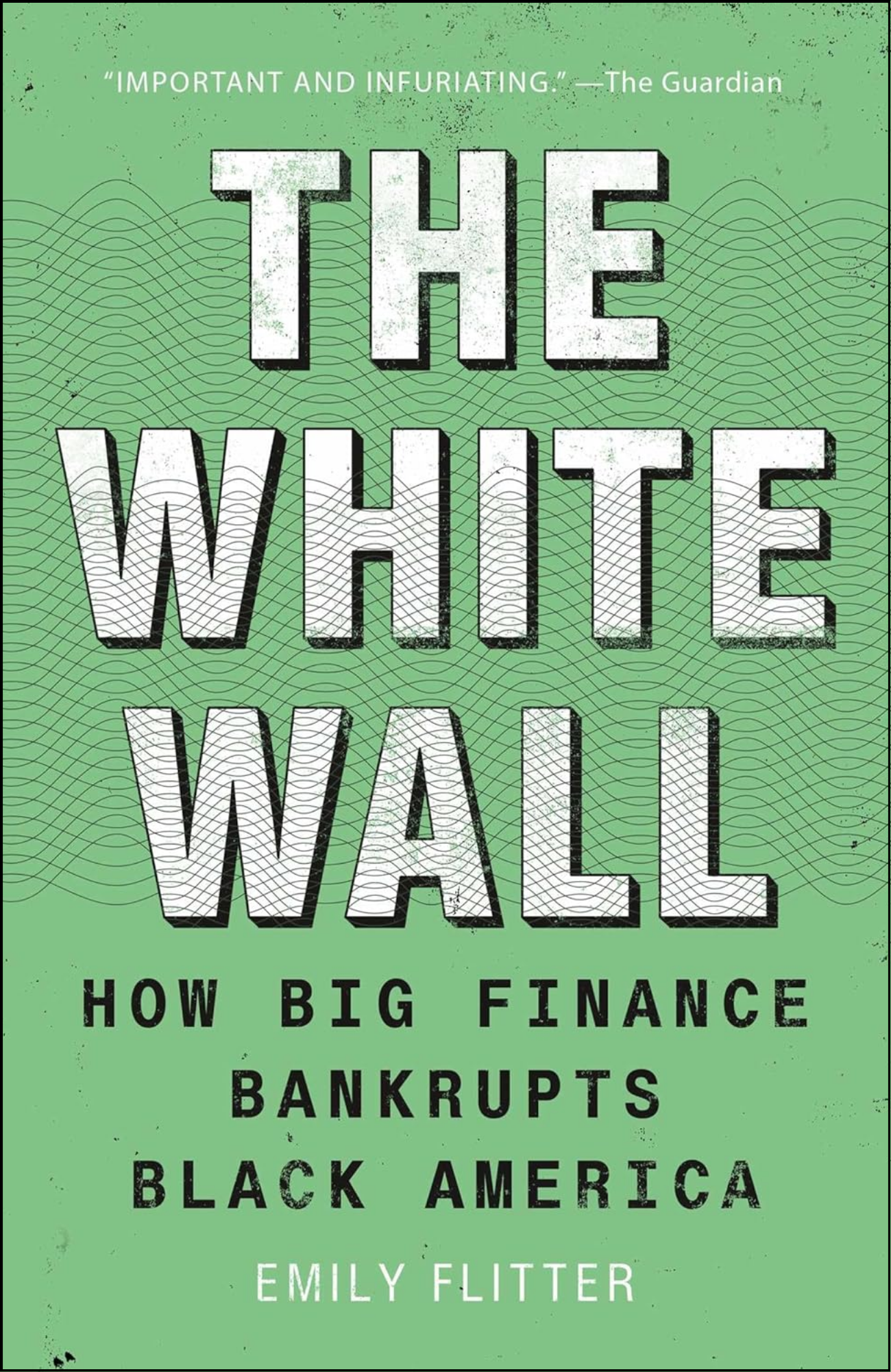 The White Wall by Emily Flitter (Author)