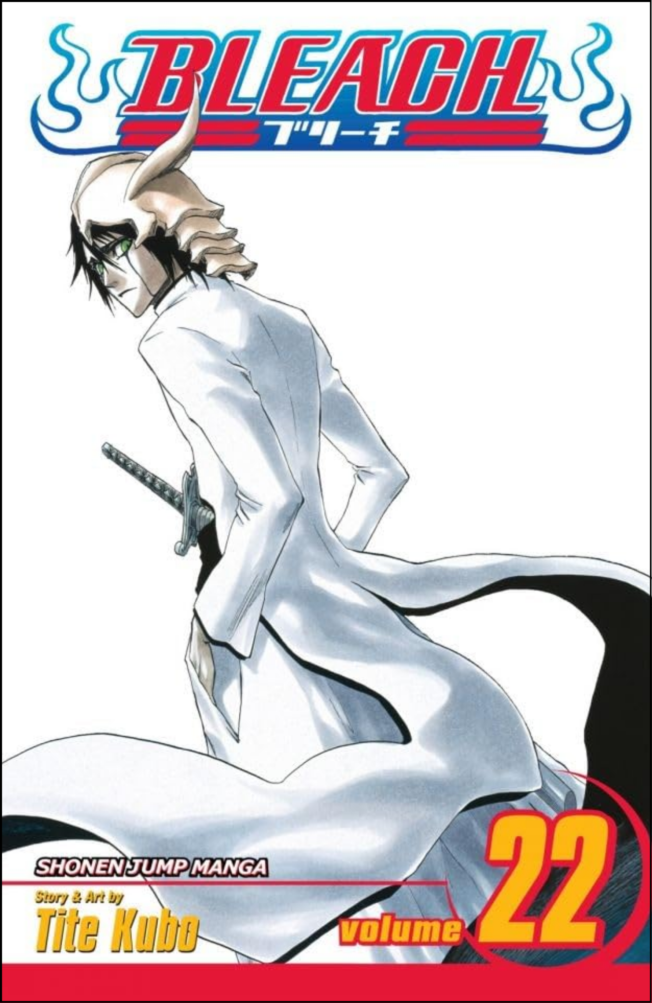 Bleach, Vol. 22 by Tite Kubo (Author) | Full Page Print Editon