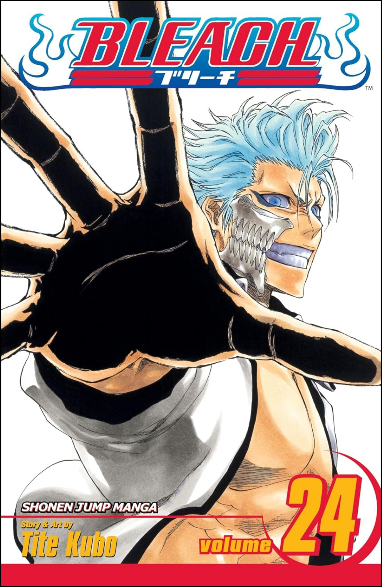 Bleach, Vol. 24 by Tite Kubo (Author) | Full Page Print Editon
