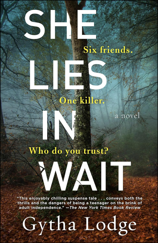 She Lies in Wait by Gytha Lodge (Author)