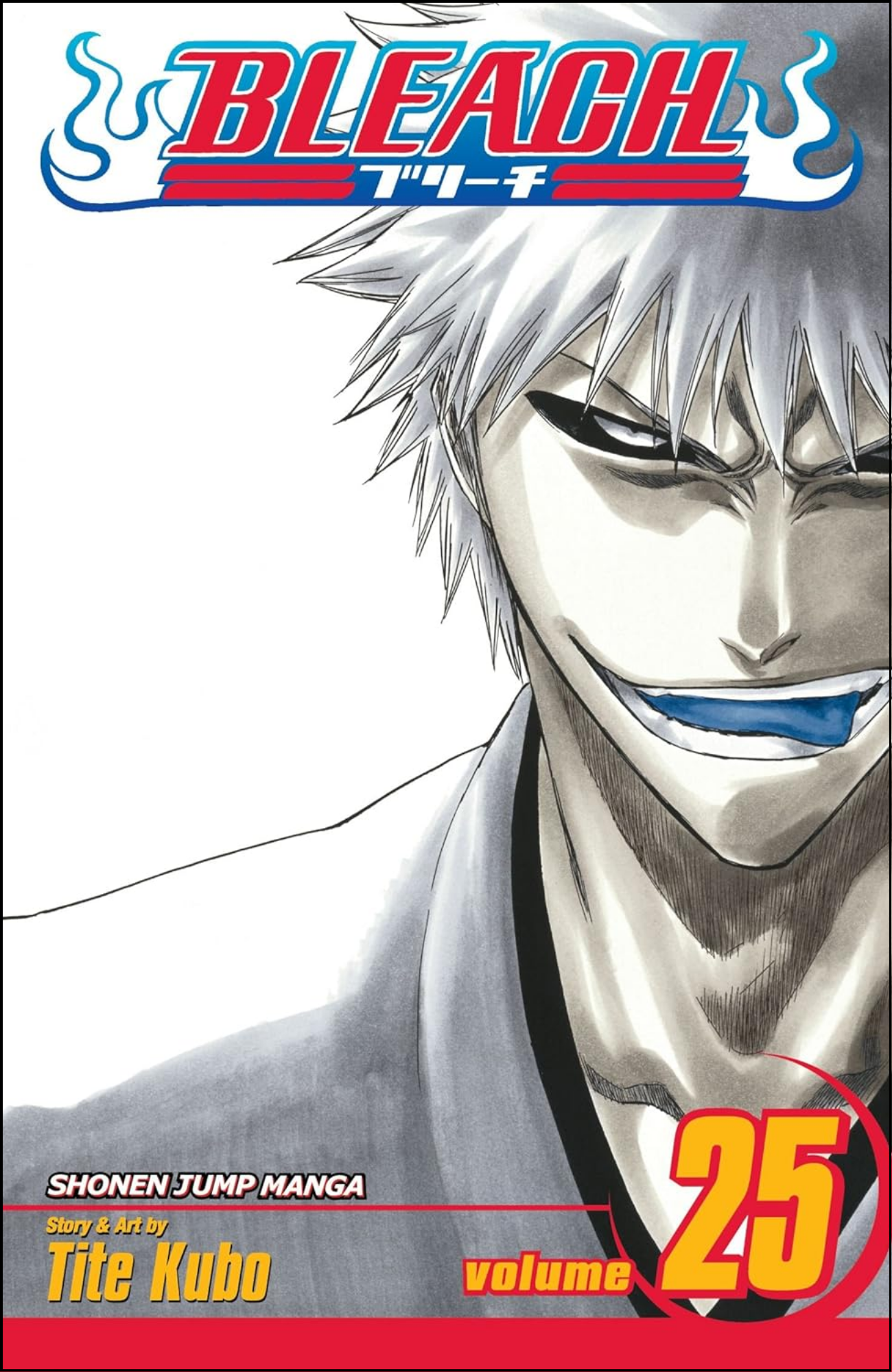 Bleach, Vol. 25 by Tite Kubo (Author) | Full Page Print Editon