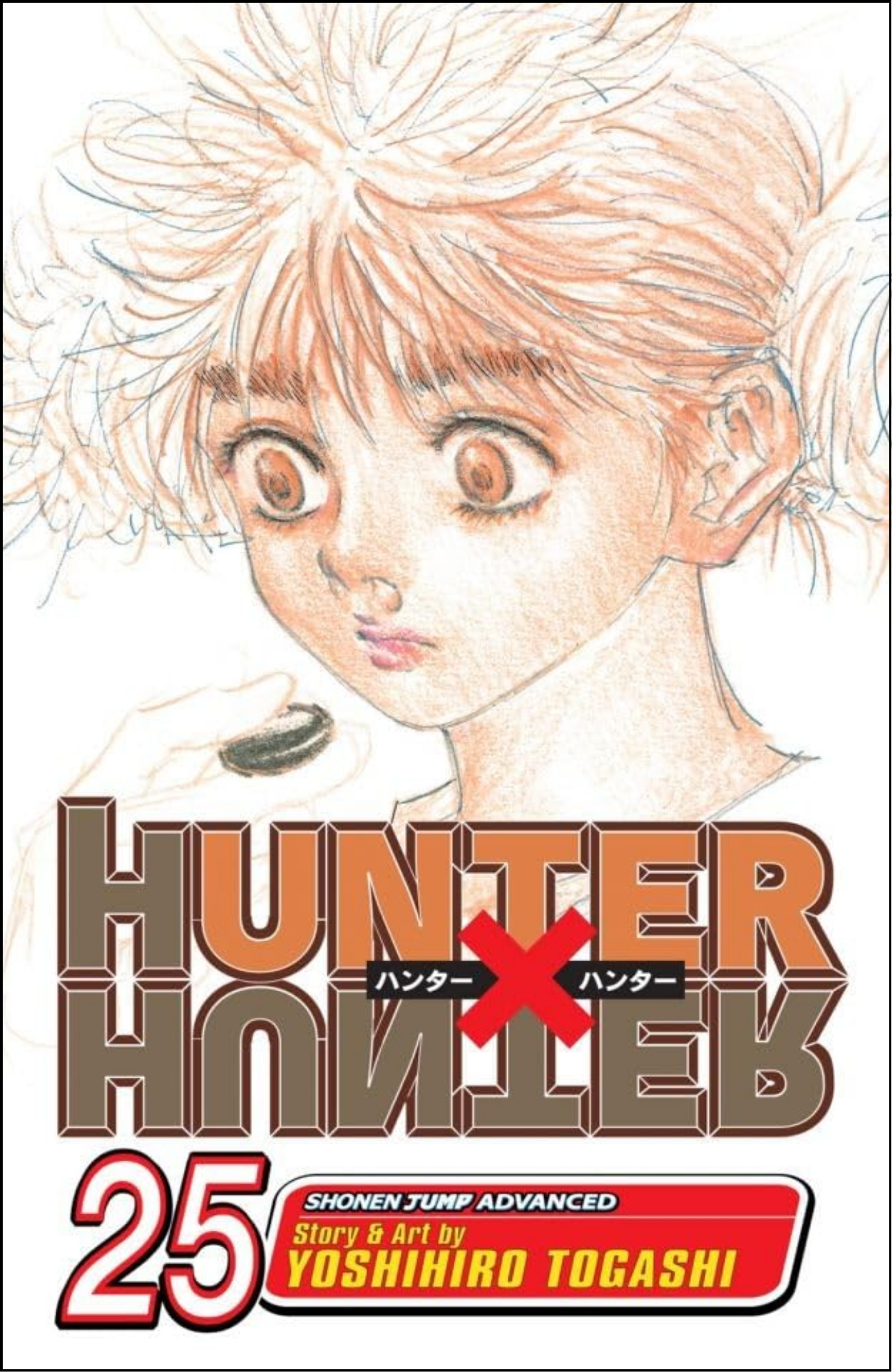 Hunter x Hunter, Vol. 25 by Yoshihiro Togashi (Author) | Full Page Print Editon