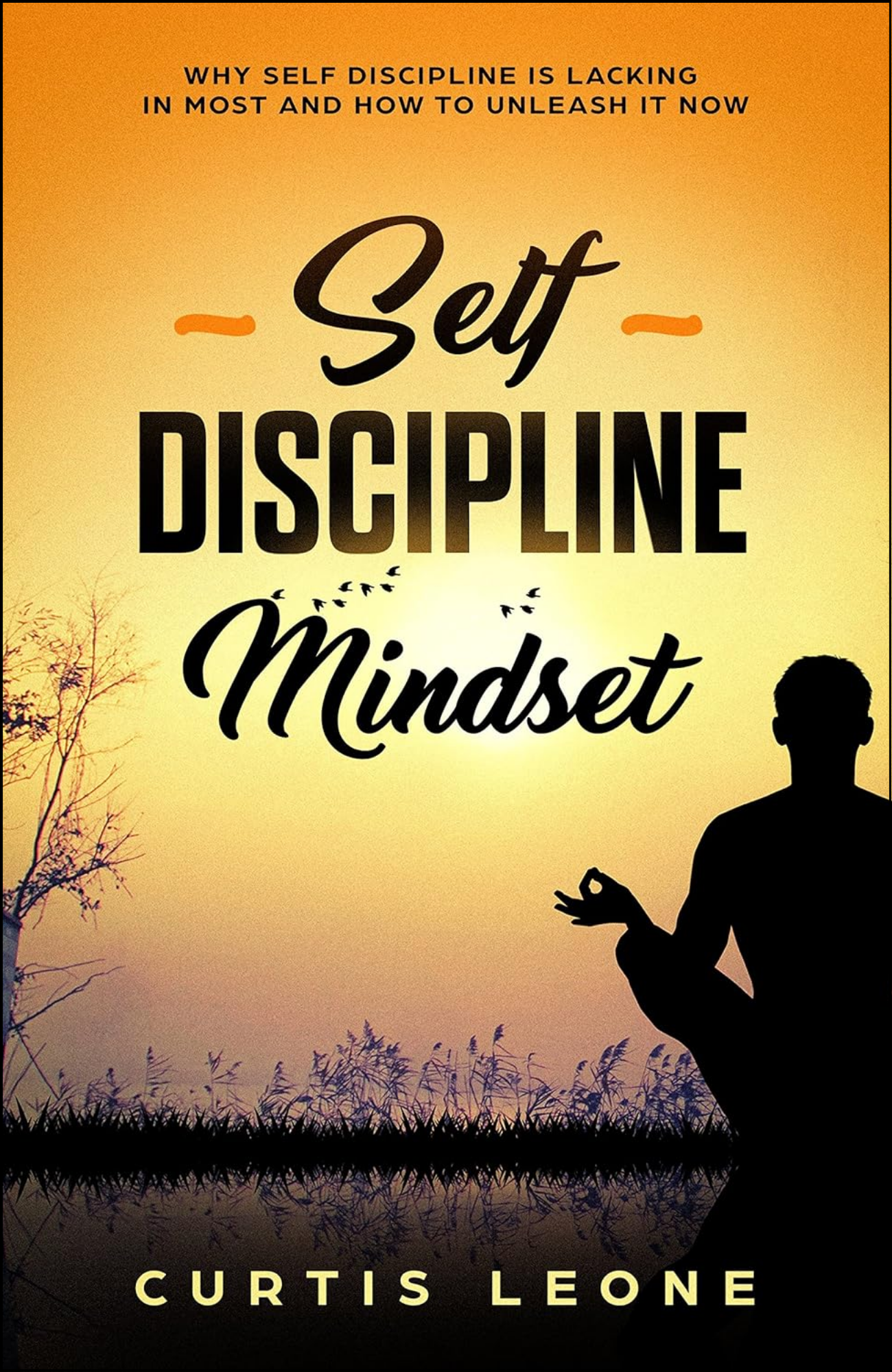 Self Discipline Mindset by Curtis Leone (Author)