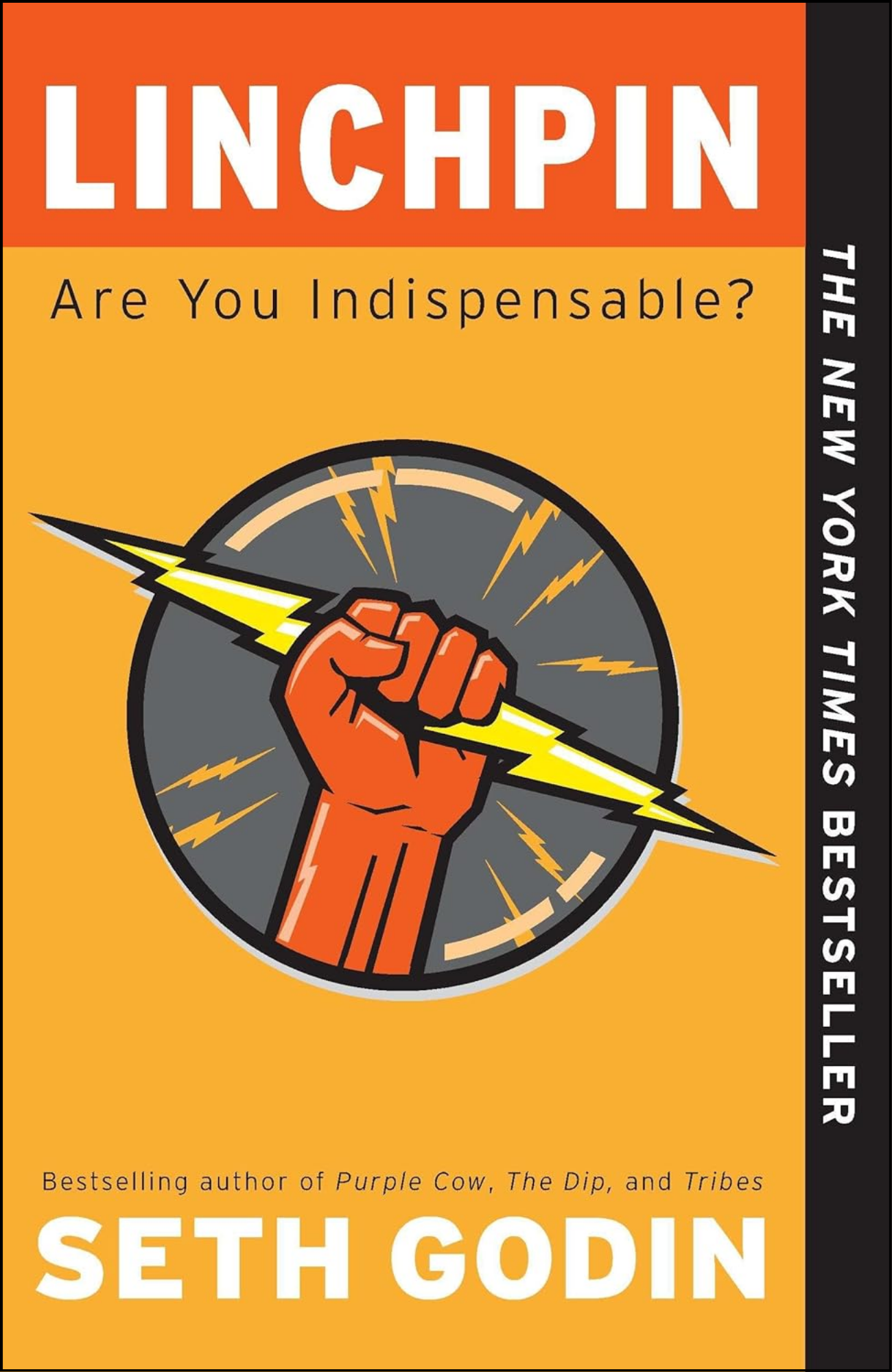 Linchpin by Seth Godin (Author)