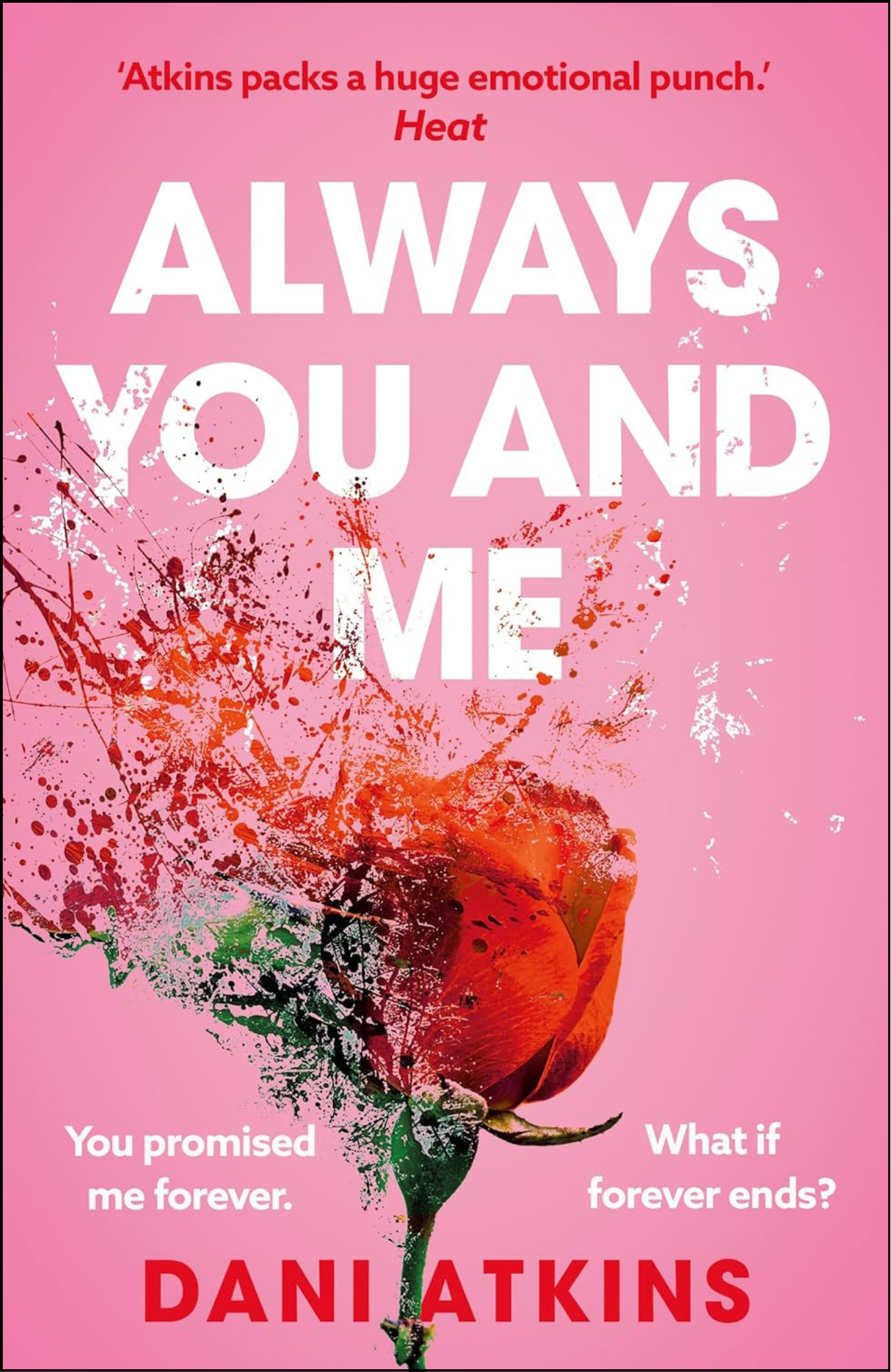 Always You and Me by Dani Atkins (Author)