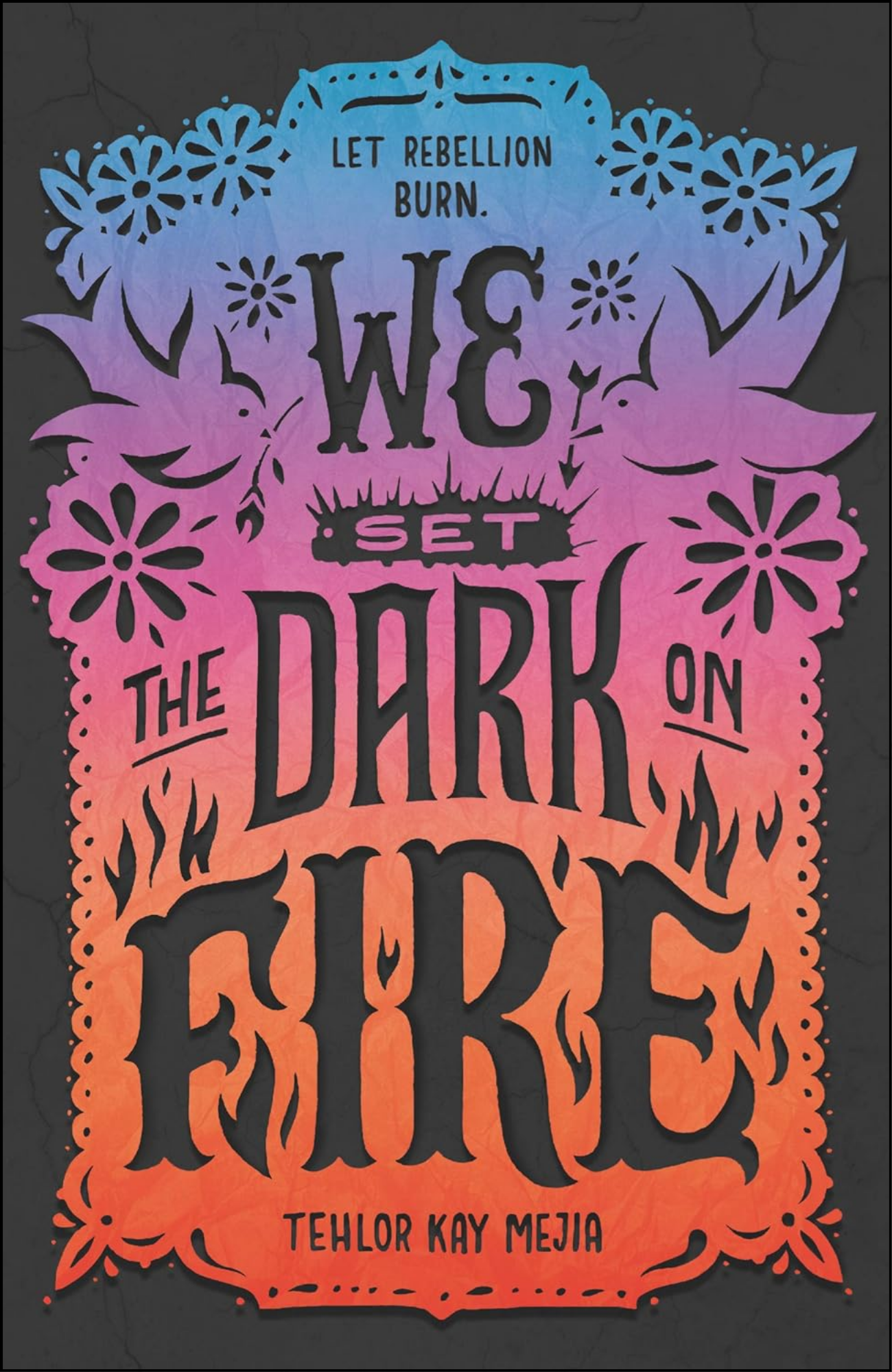 We Set the Dark on Fire by Tehlor Kay Mejia (Author)