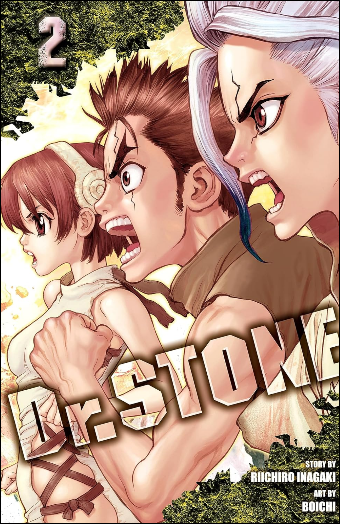 Dr. STONE, Vol. 2 by Riichiro Inagaki (Author) | Full Page Print Editon