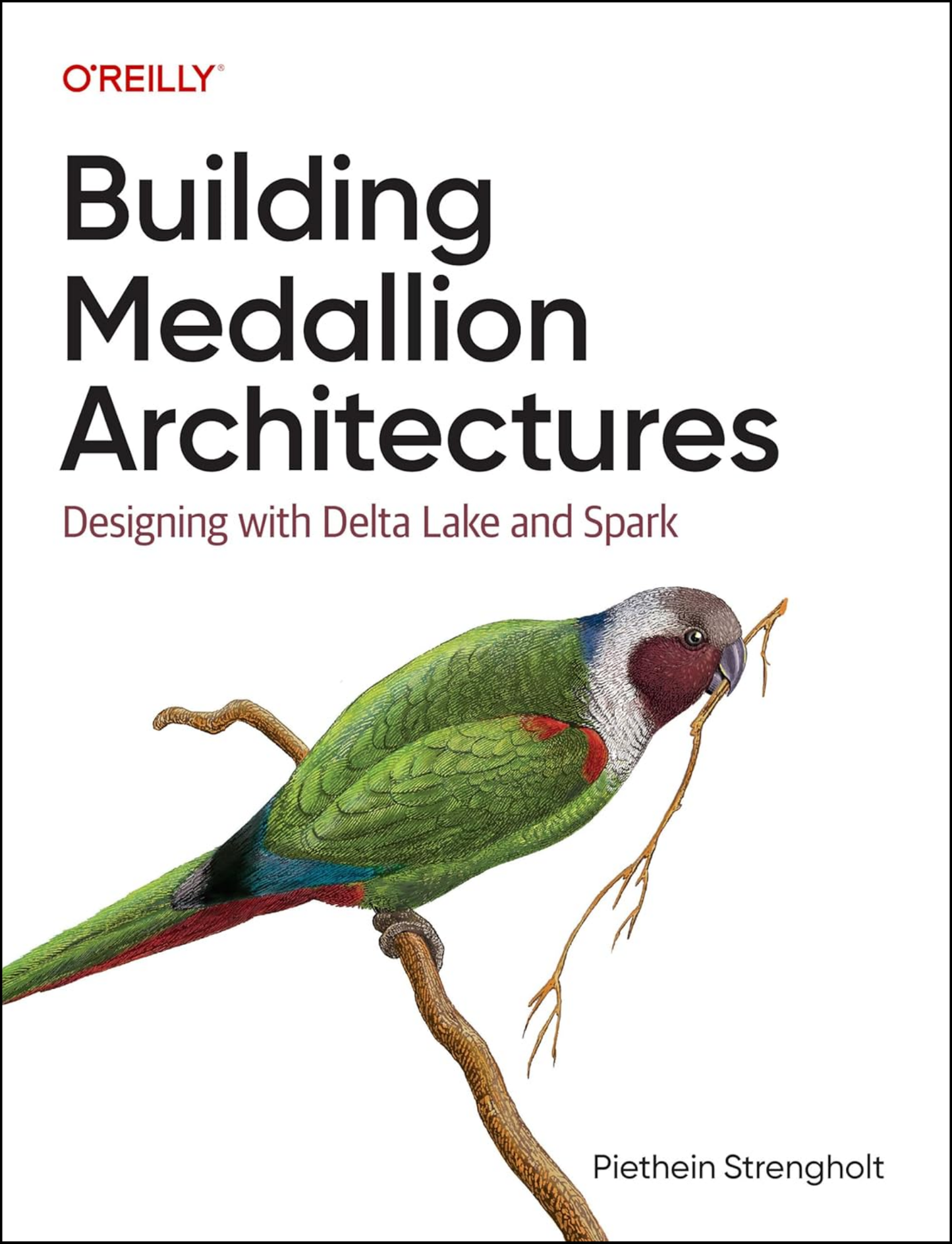 Building Medallion Architectures by Piethein Strengholt (Author)