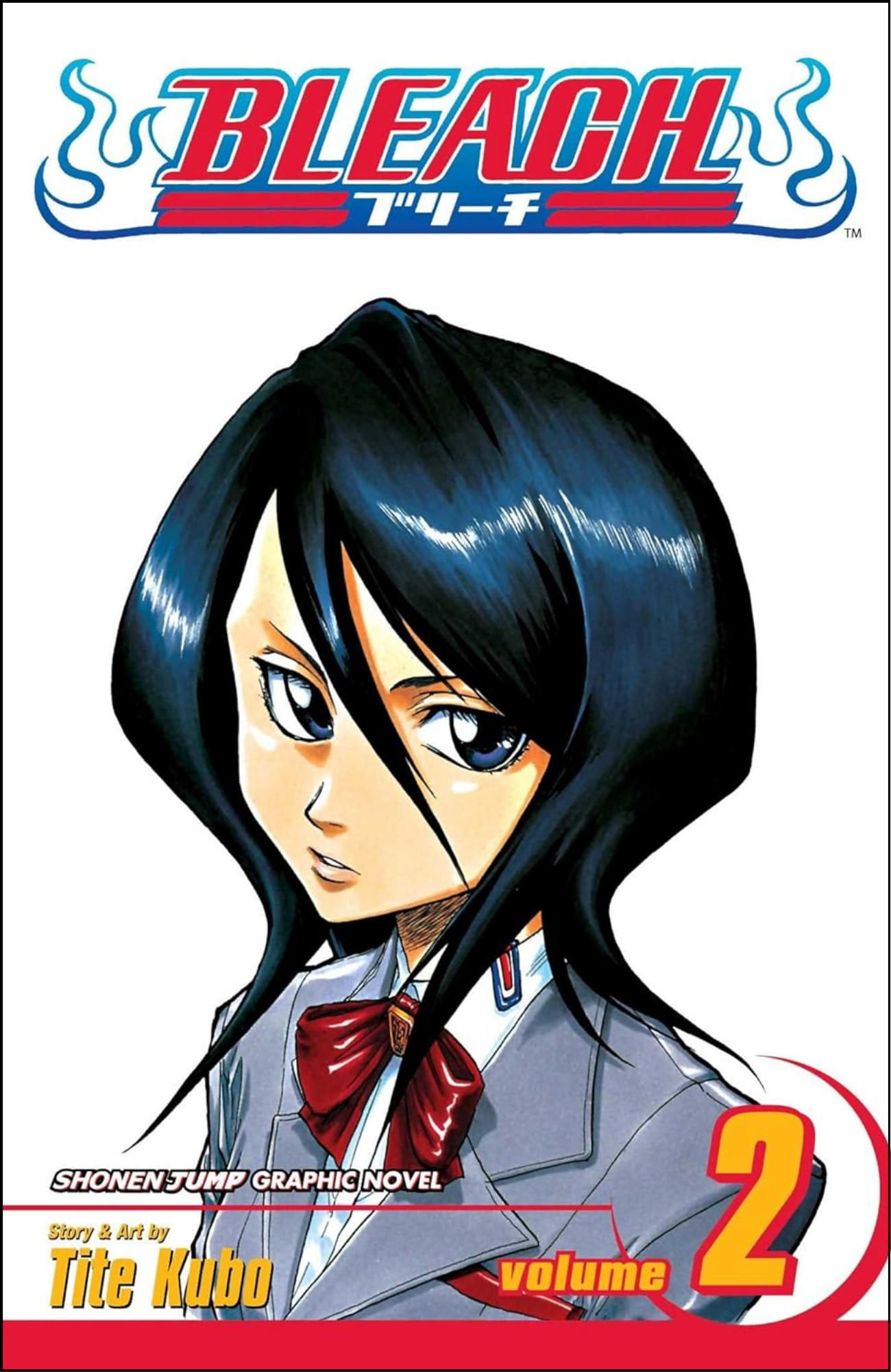 Bleach, Vol. 2 by Tite Kubo (Author) | Full Page Print Editon